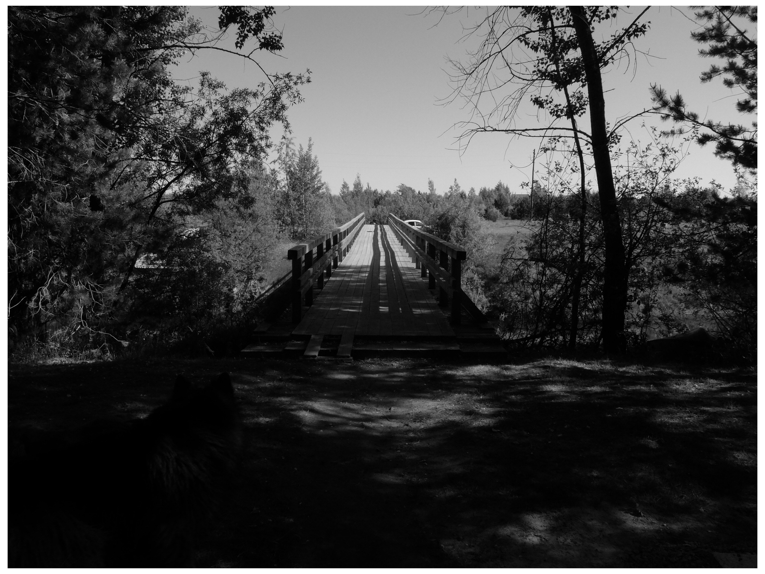 Промежуточные моменты (2022)