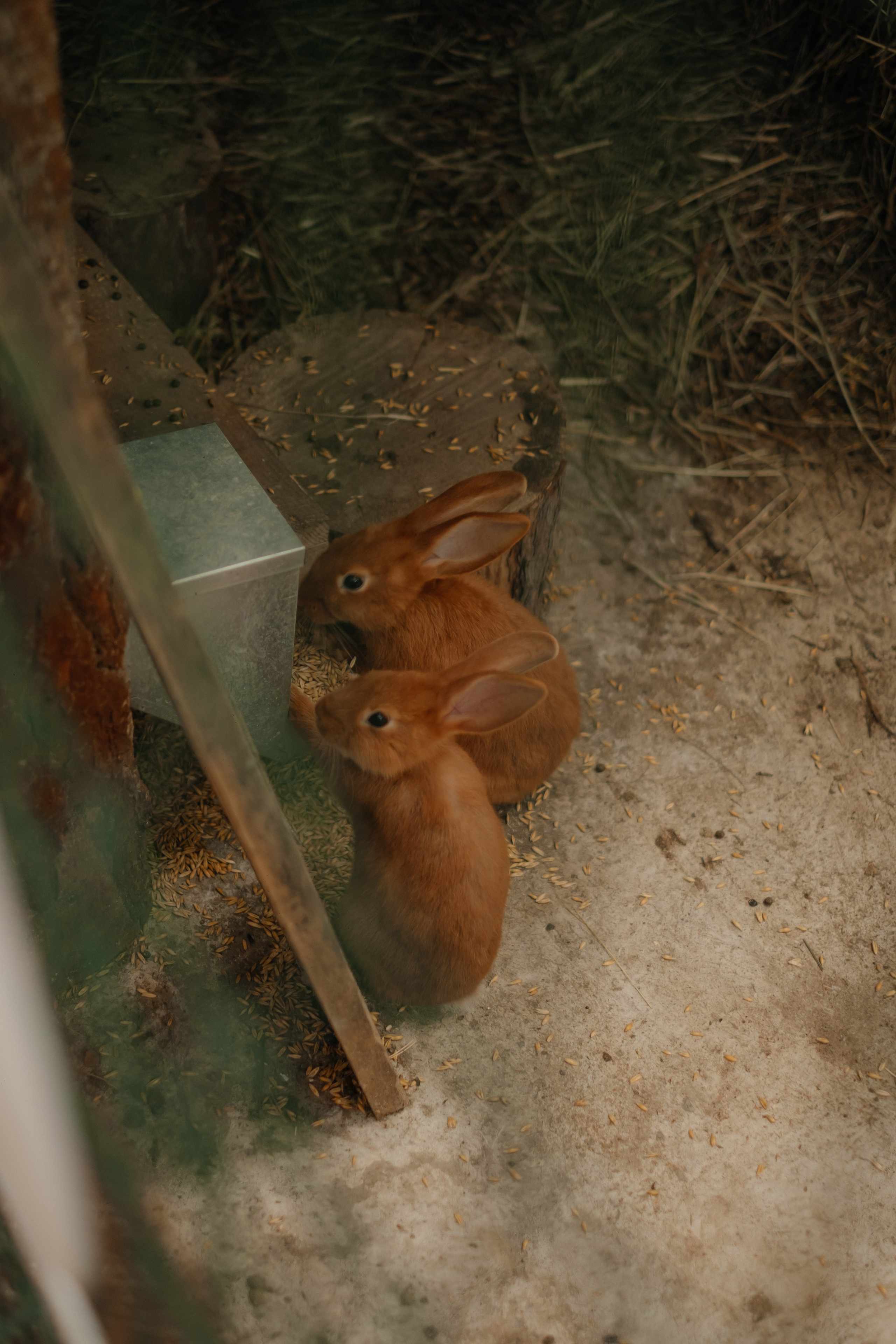 Свадьба Натальи и Кирилла. Фотограф в Новосибирске Диана Ильиных