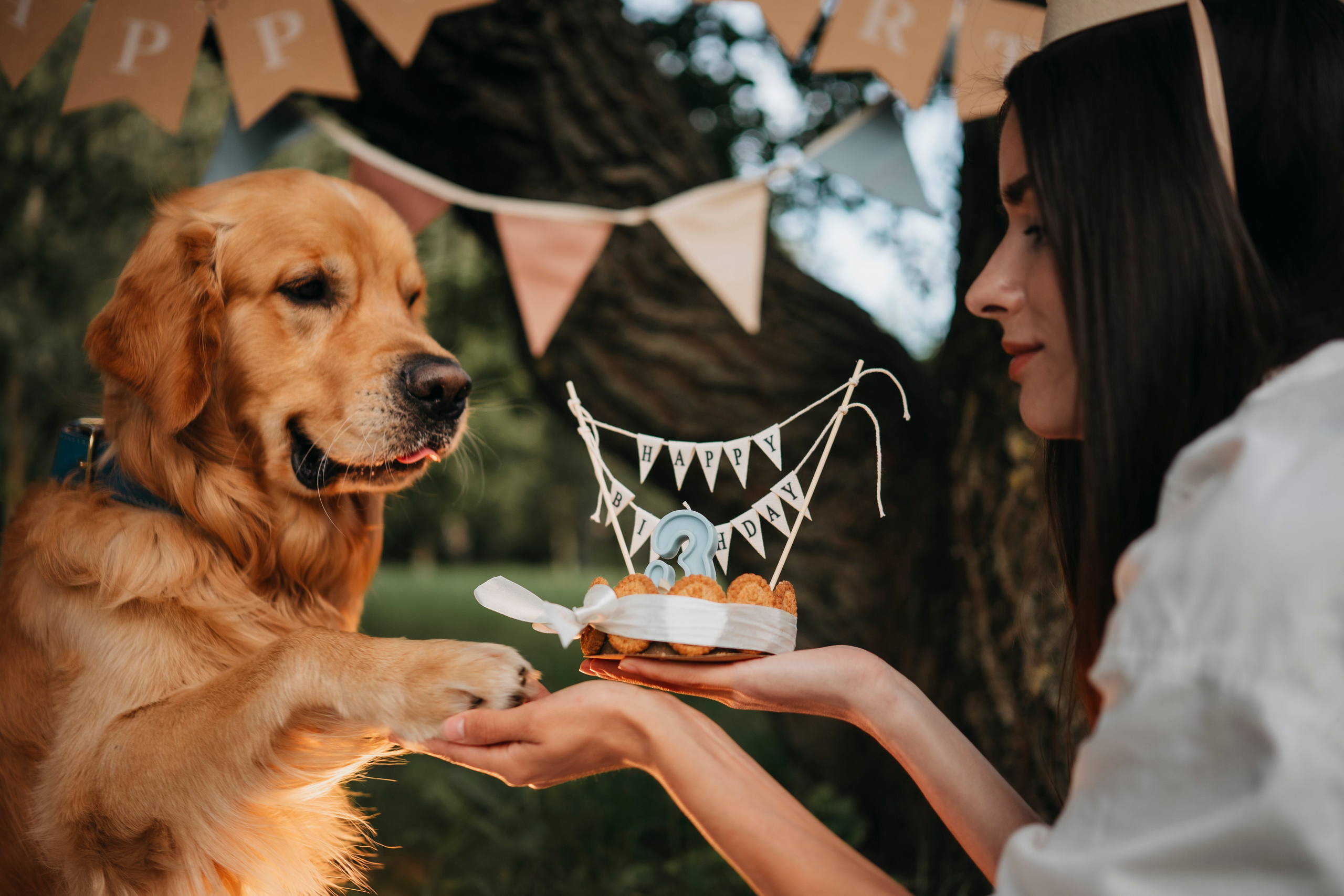 Карина, Саша и Луни. Семейный фотограф анималист Ананьева Мария — Москва