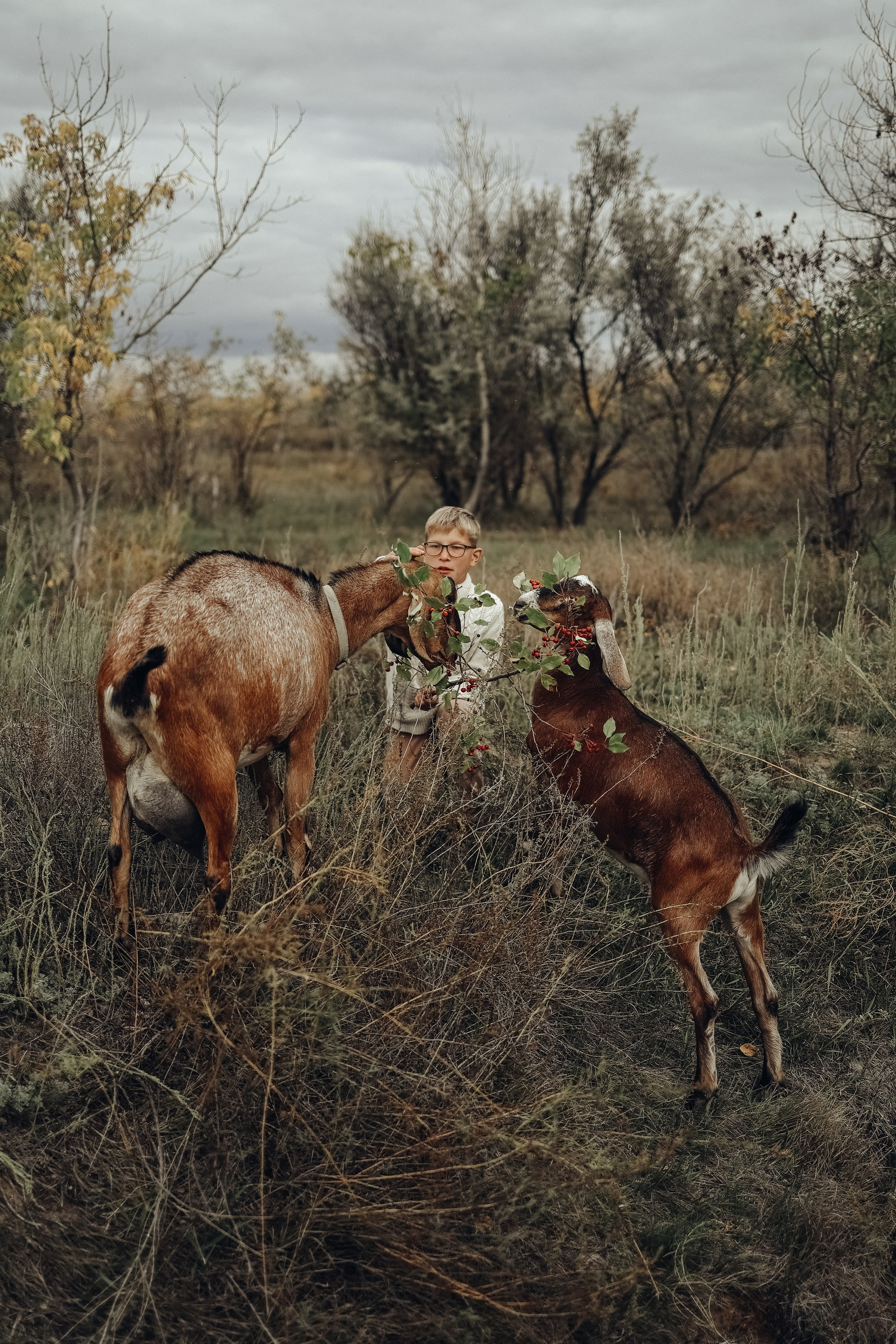 Семейная прогулочная съёмка. Фотограф в Астане Элина Багинская