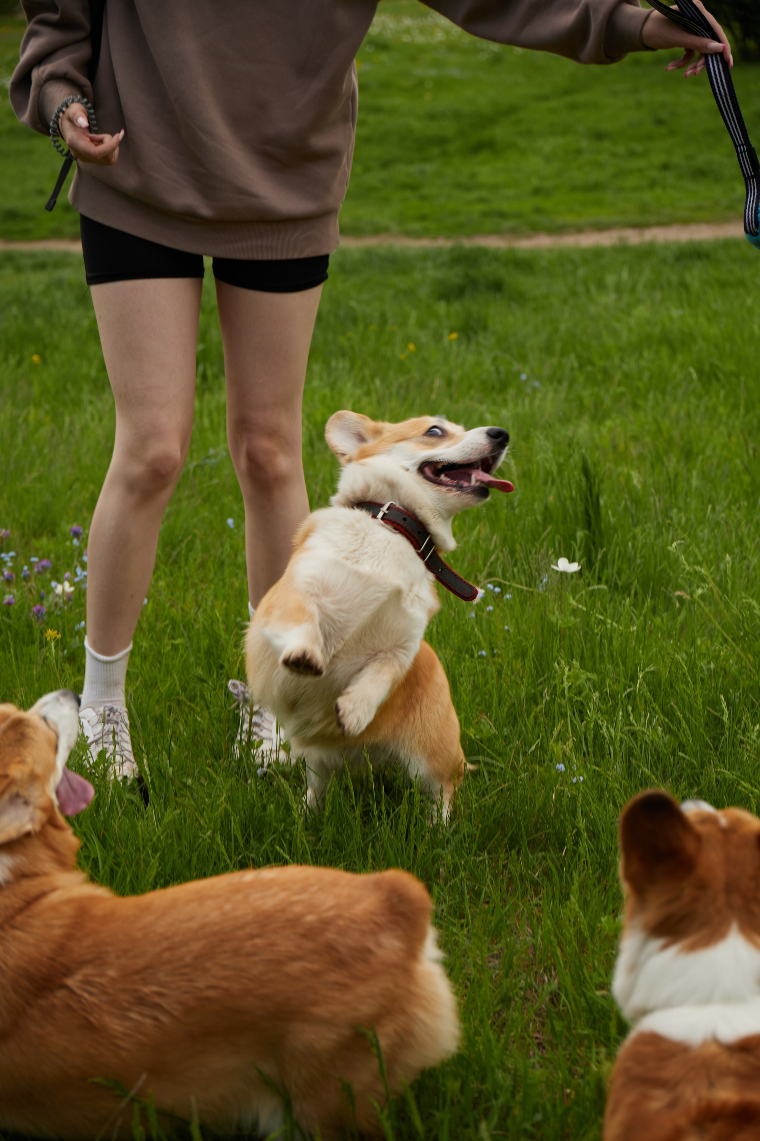 Репортаж. Коммерческий фотограф в Красноярске | Светлана Мищук