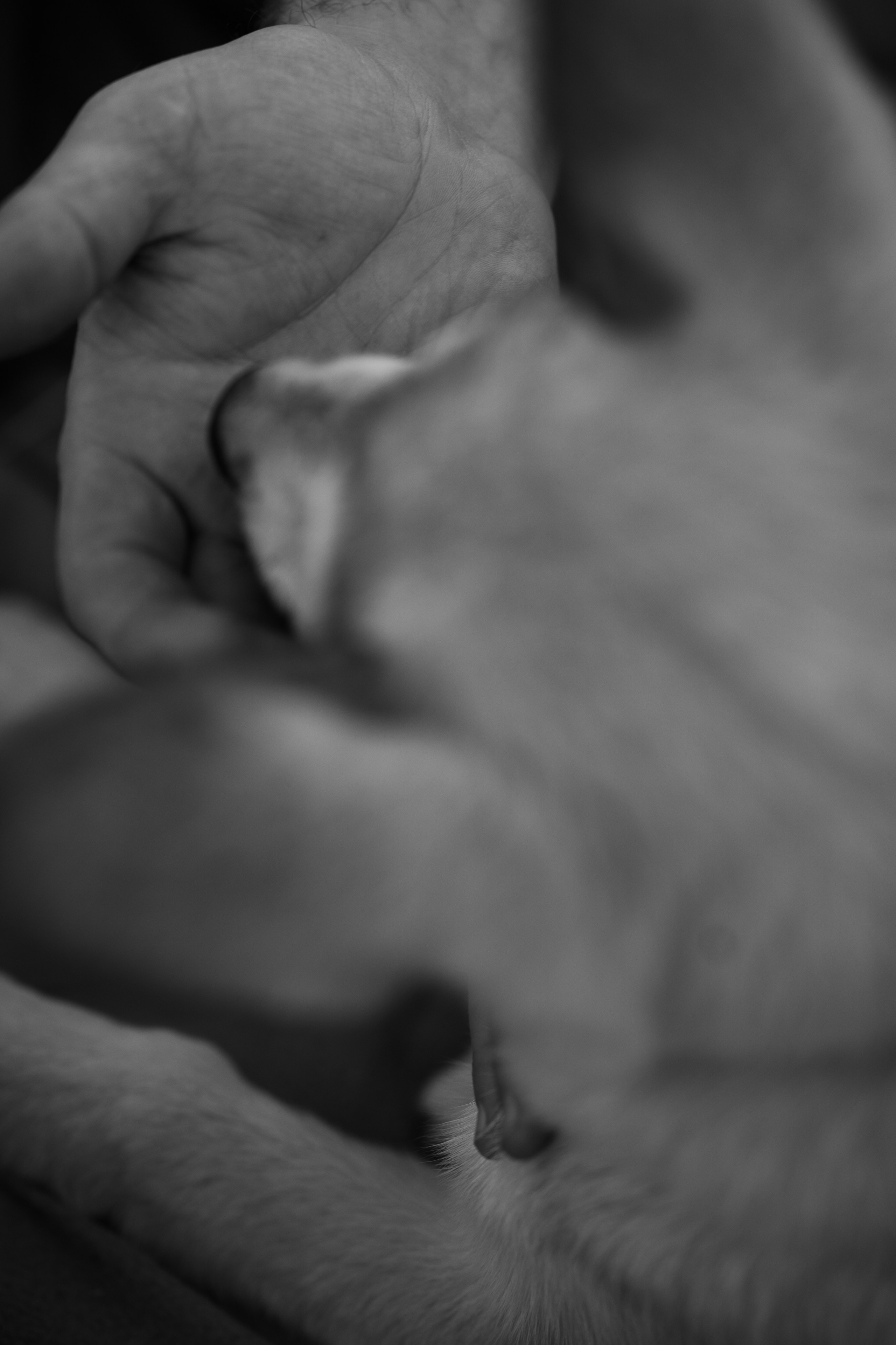 Семейная съемка для Александры. Фотограф Катя Стрельцова