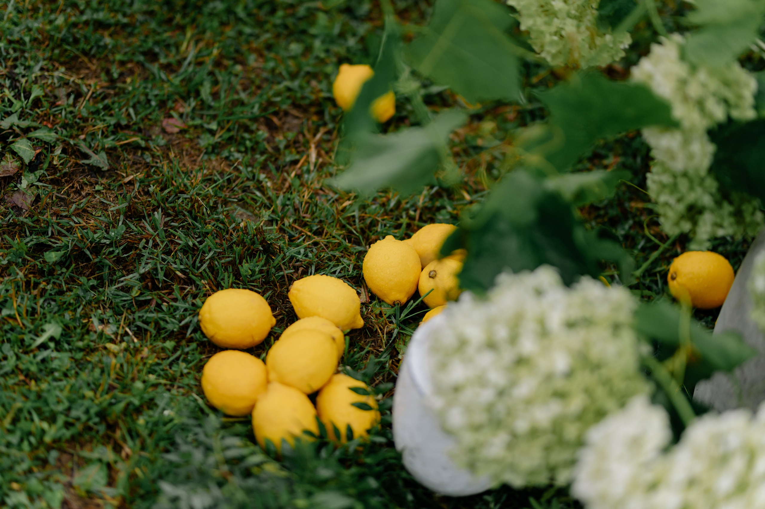 Павел и Элина. Свадебный фотограф Минск, Пинск, Брест, Гродно Чернигов Андрей