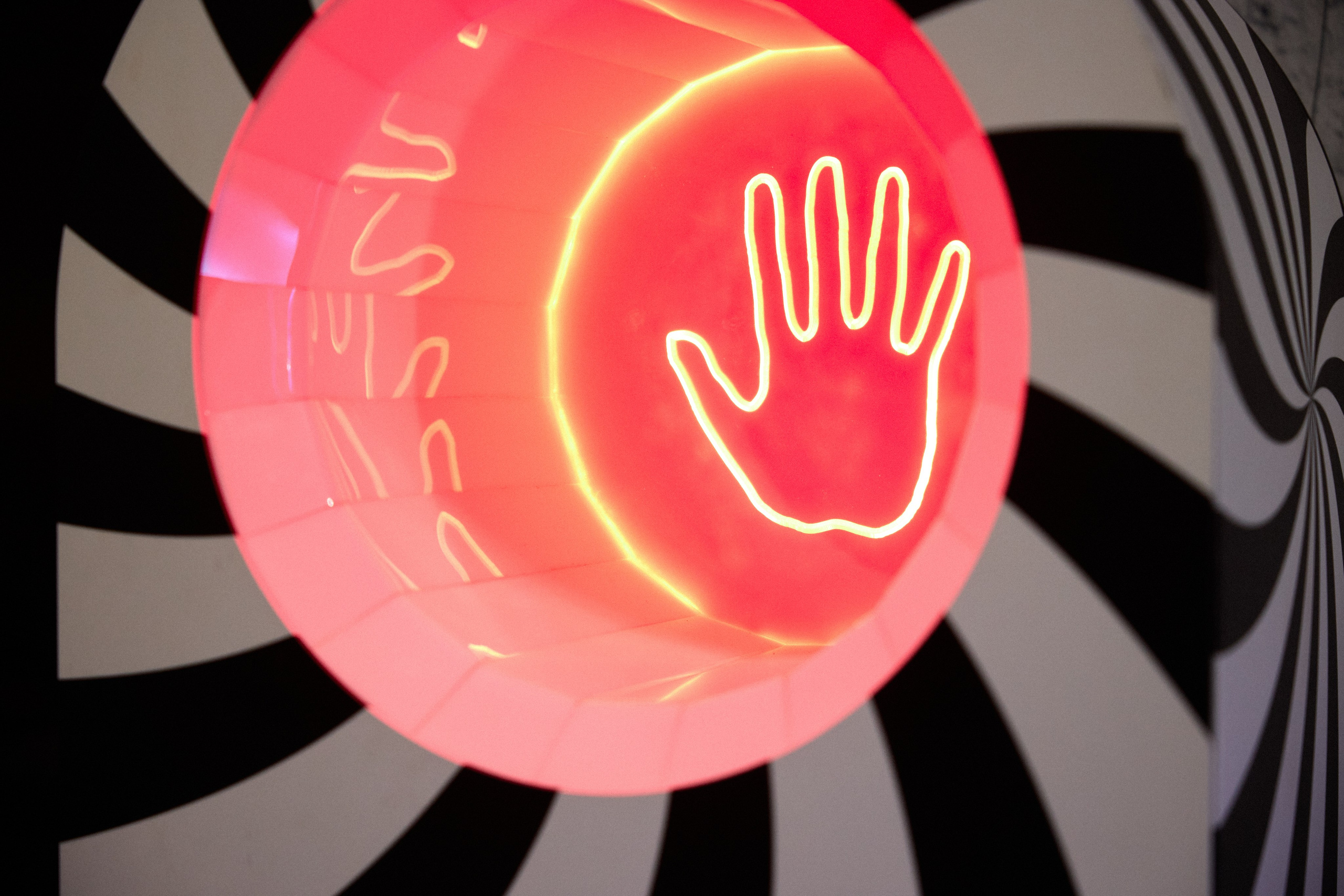 КОЧКА. Фотограф Айвазова Наталья Краснодар