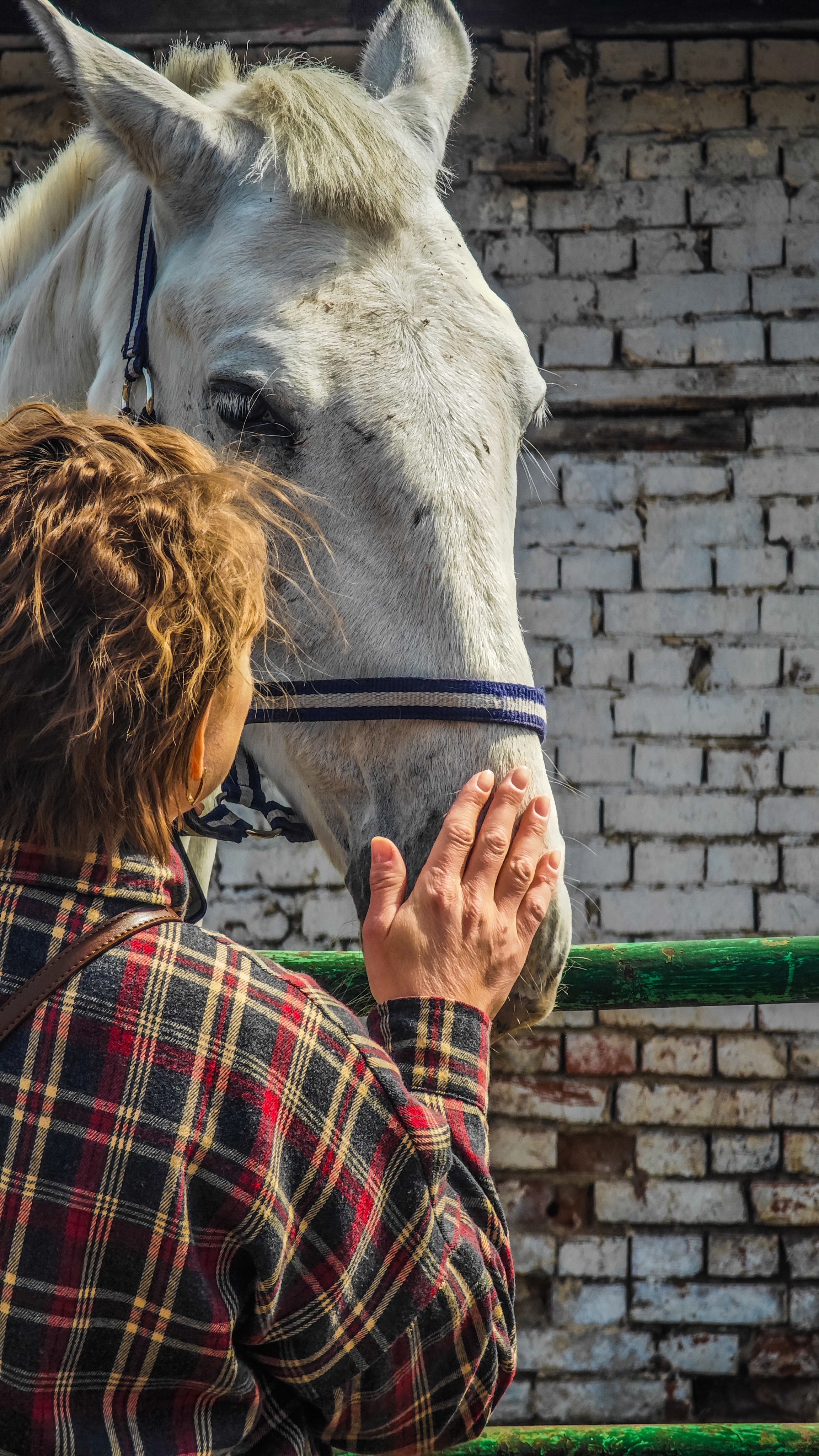 Красноярский ипподром. Открытие сезона 2025. Игорь Урывский. Фотограф Красноярск