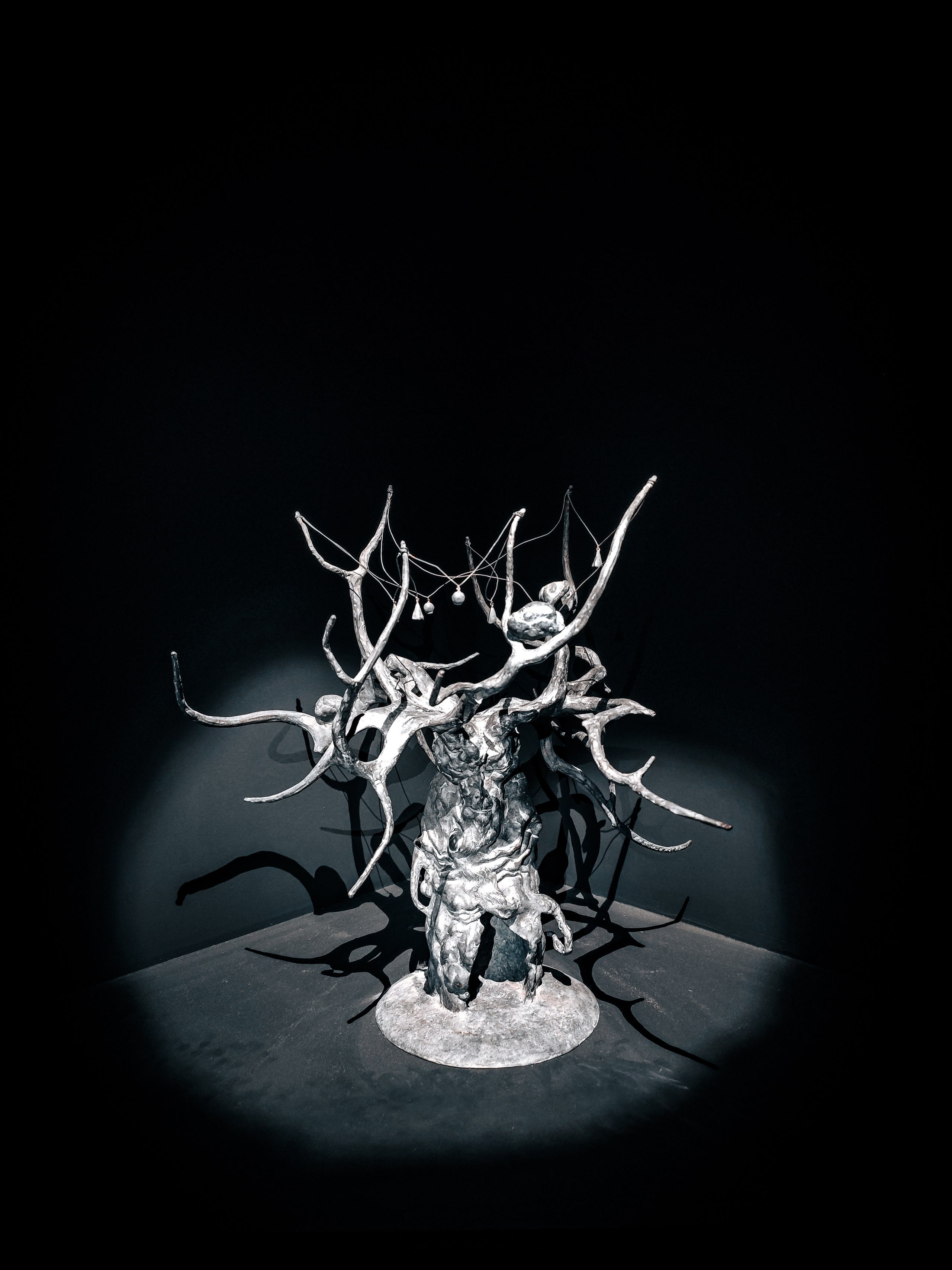 Выставка «Сны Сибири». Игорь Урывский. Фотограф Красноярск