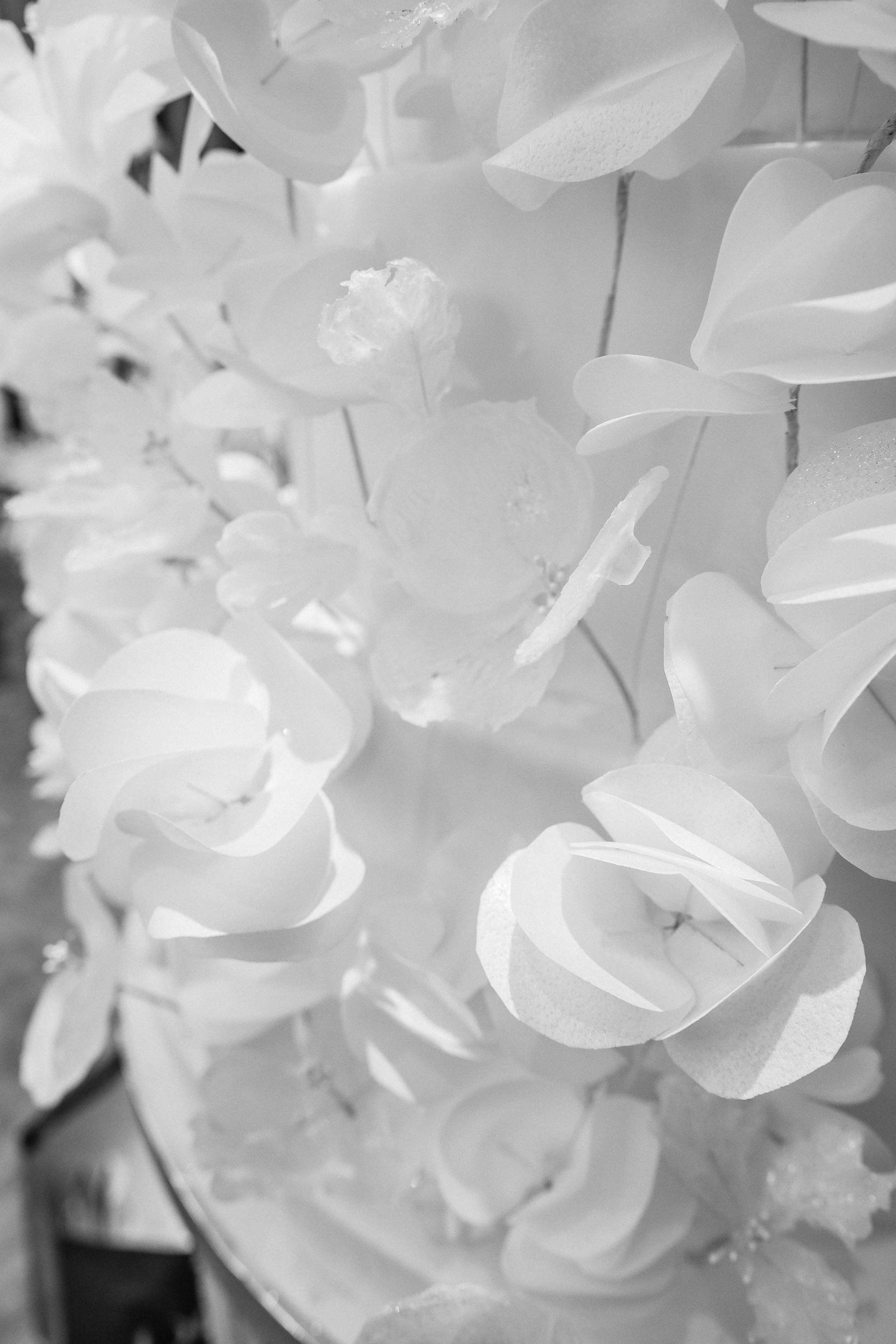 Национальная свадьба (второй фотограф). Фотограф Юлия Мальцева