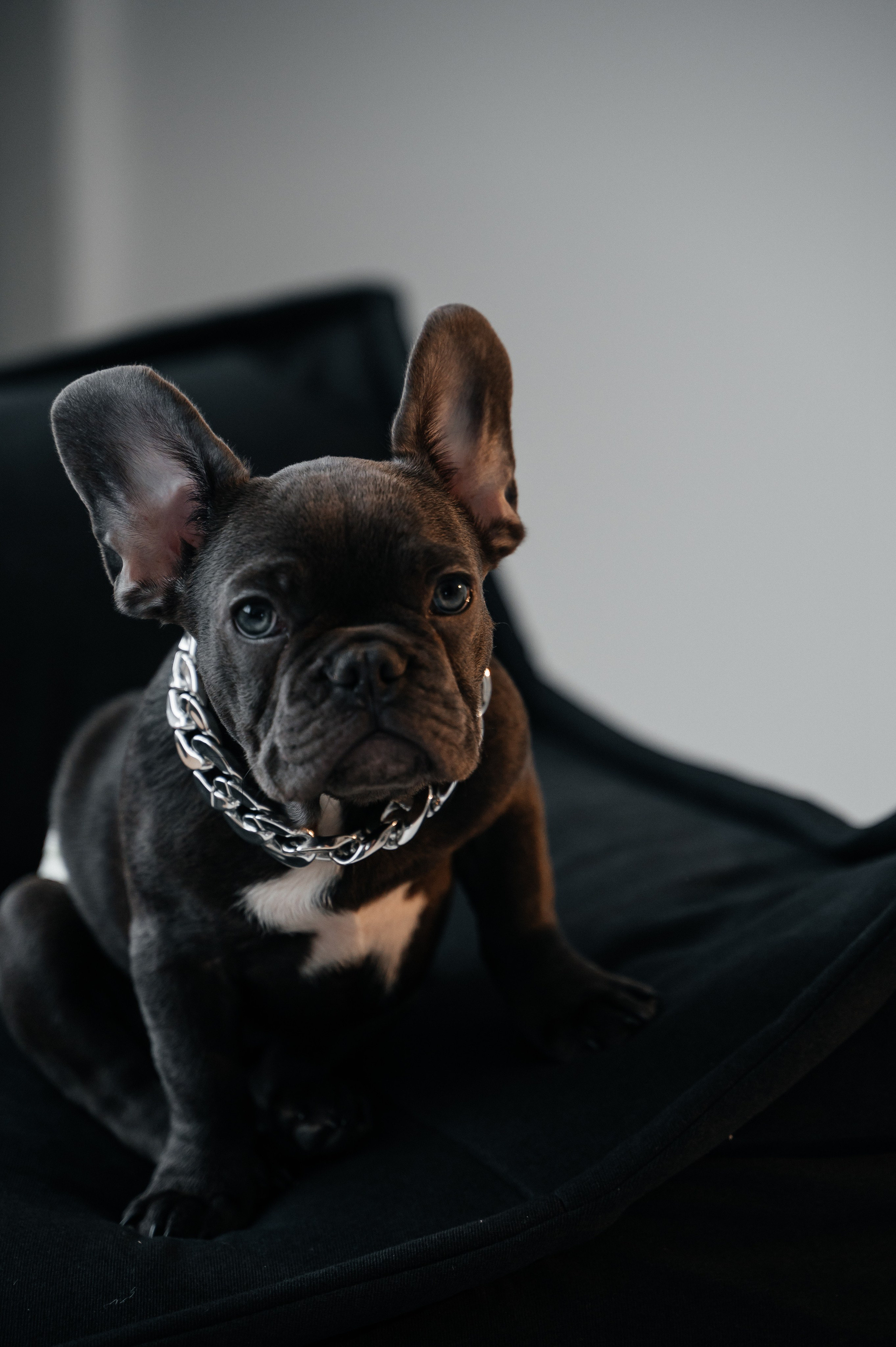 Юля и Гранд. Свадебный и семейный фотограф в городе Смоленске