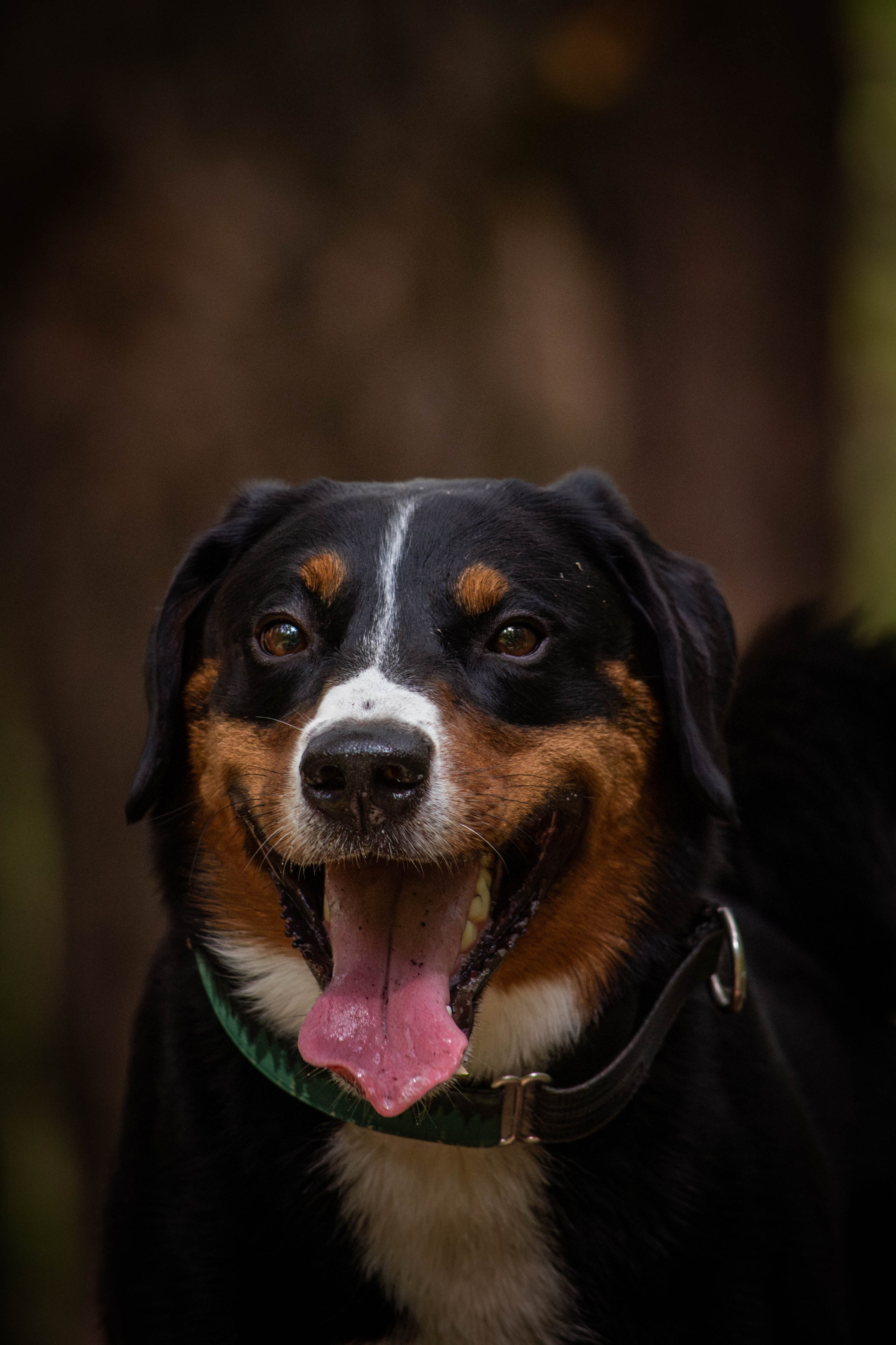 Микки и Юля. Фотограф Светлана Блинова, Москва и Московская область