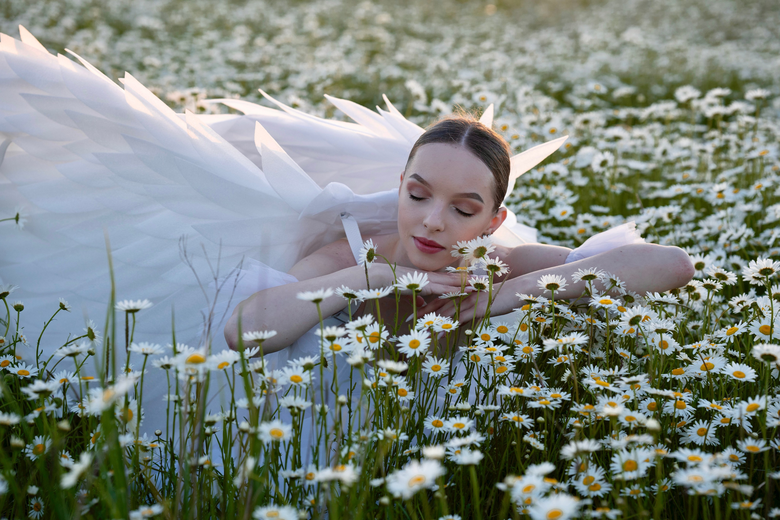 Ромашки. Фотограф в Крыму Лебедева Александра