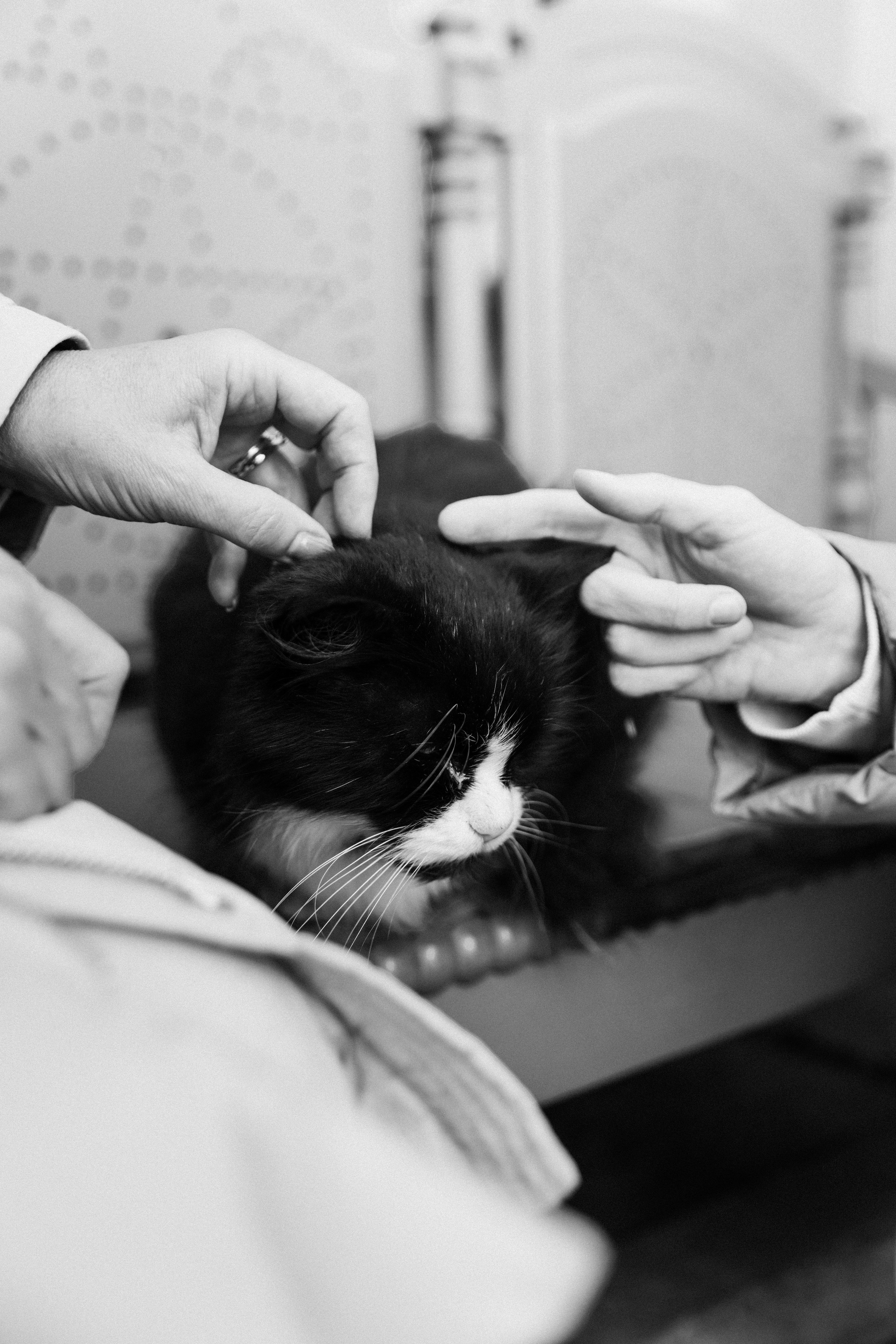 Ирина с дочерью. Фотограф Зеленоградск Красильникова Елена