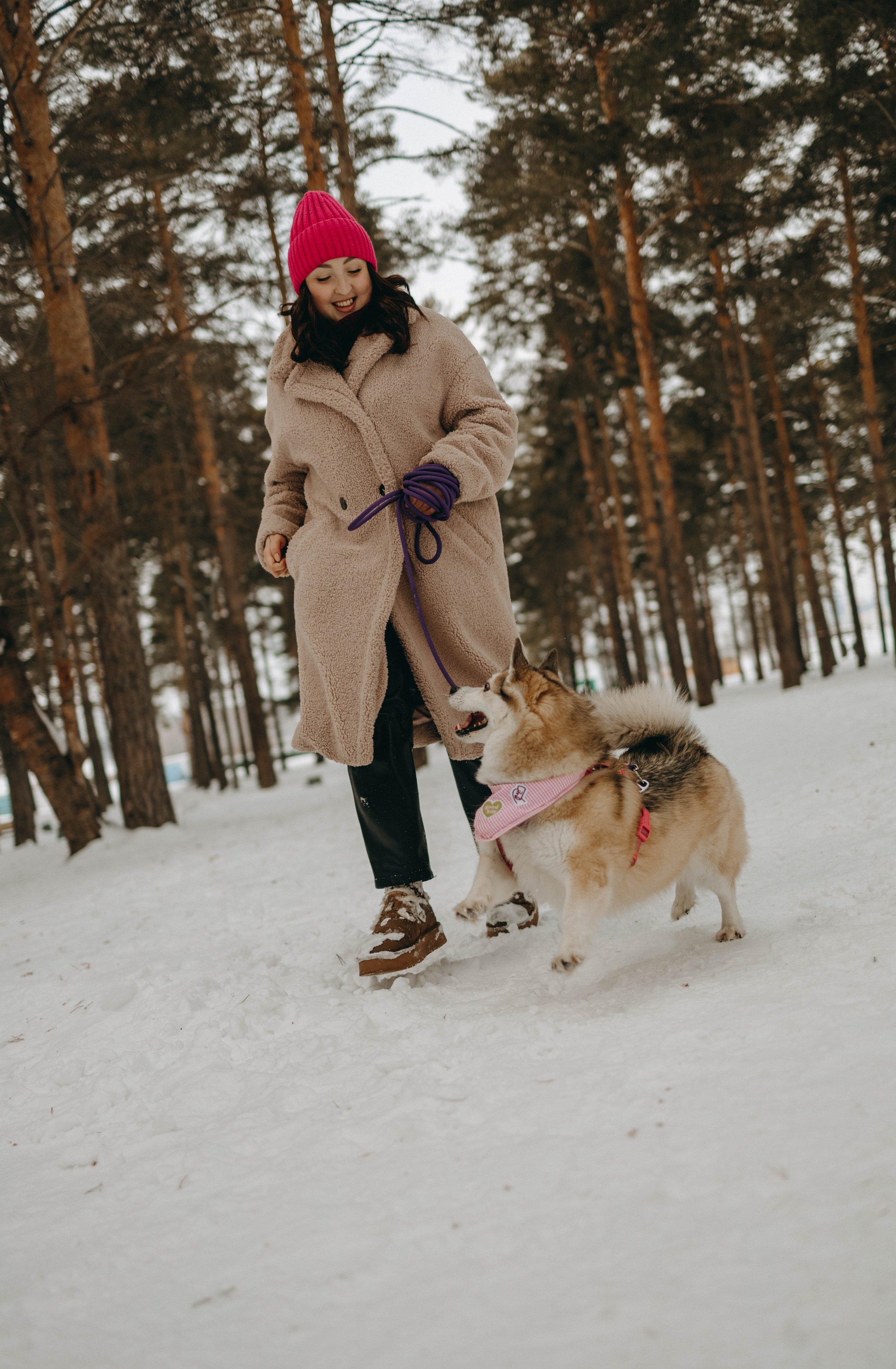 Варвара и Шелби. Фотограф-анималист в Екатеринбурге | Кристина