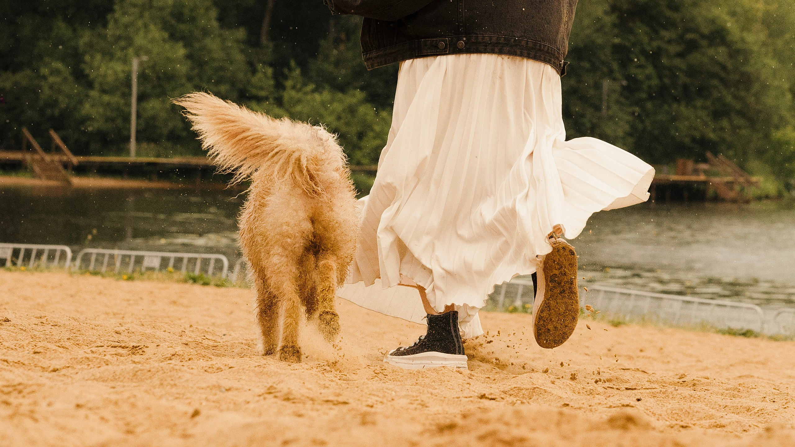 Акиро и Йоши. Фотограф- анималист Александра Матвеева