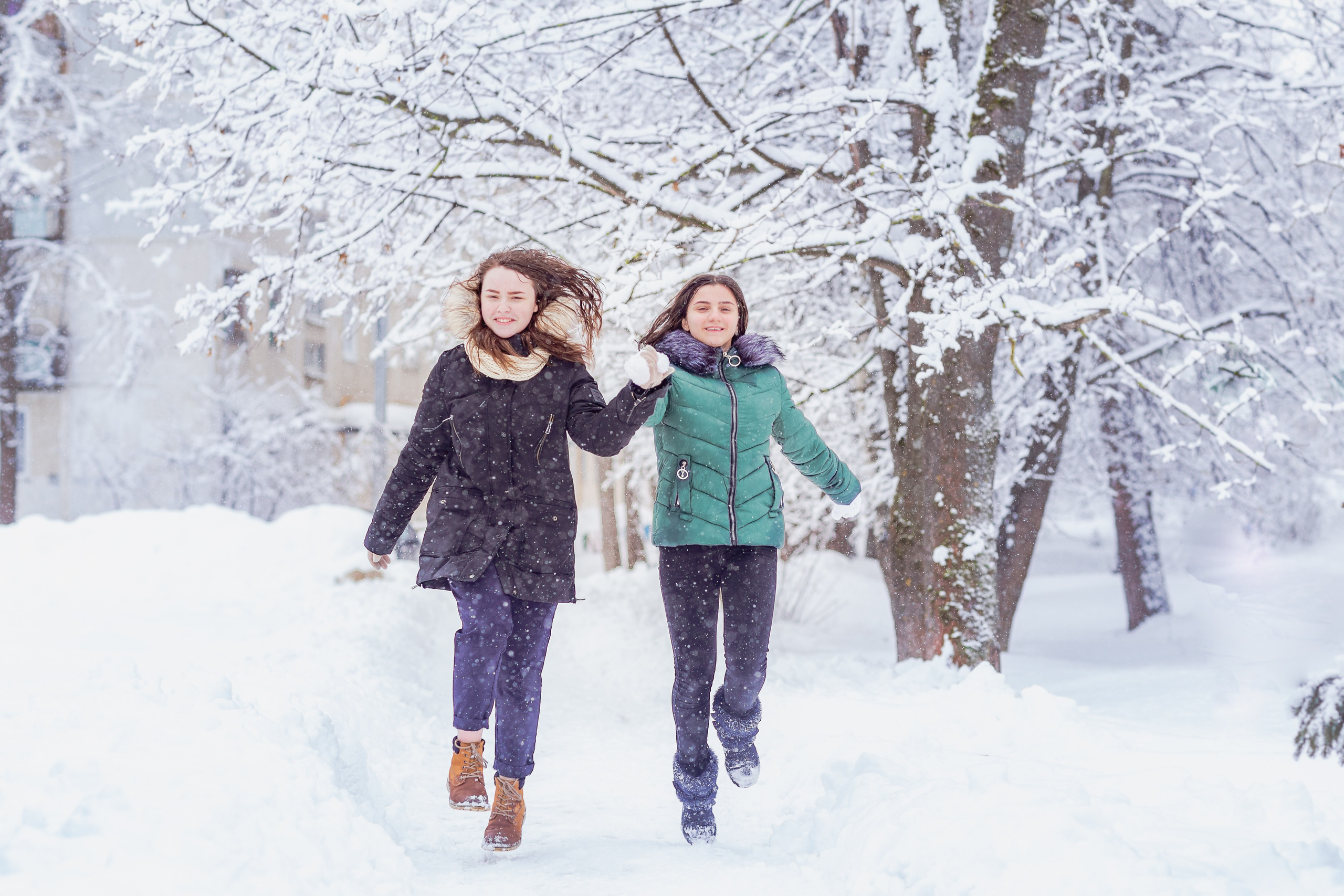 Зимняя прогулка