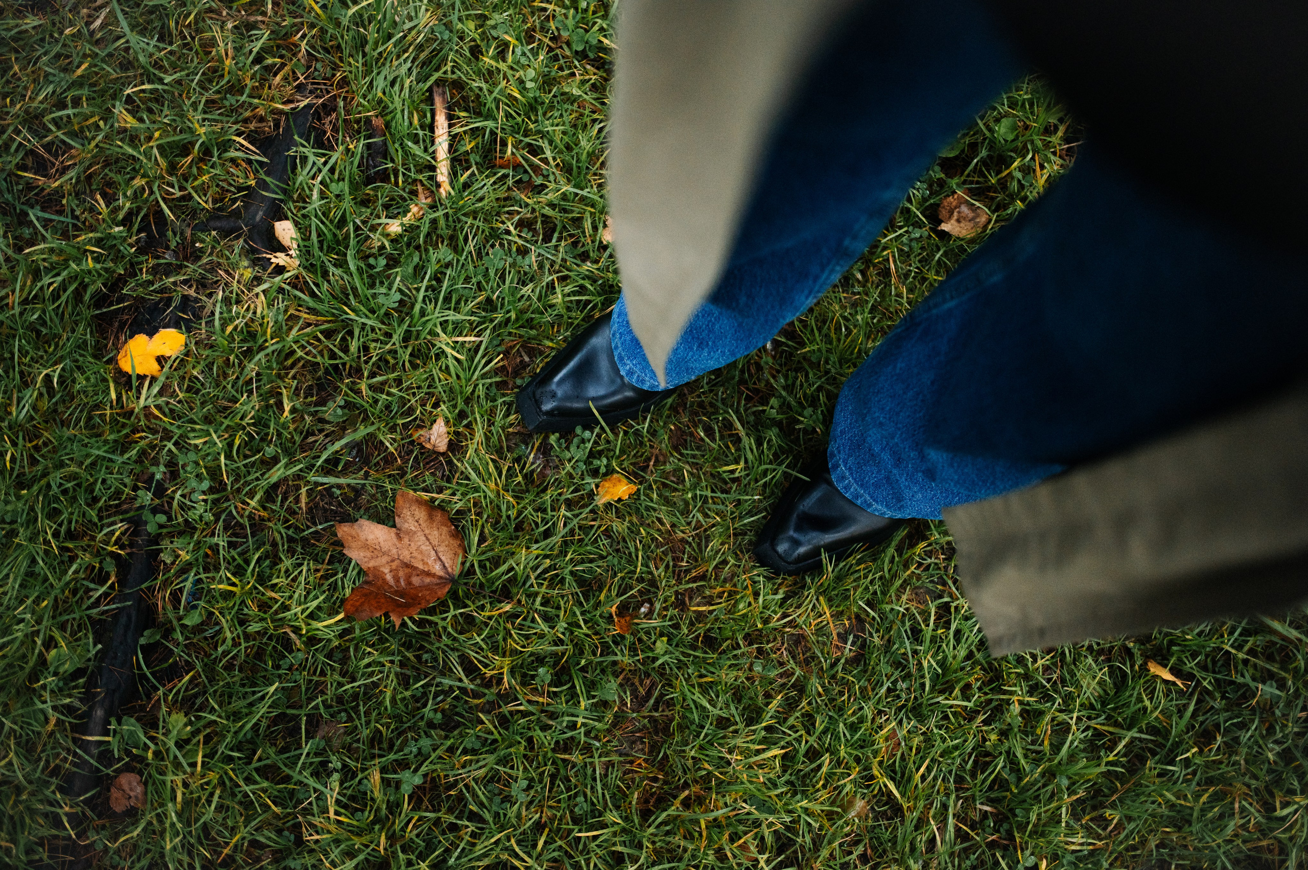 Лес говорит с тобой. Фотограф анималист в Москве Ольга Агушева