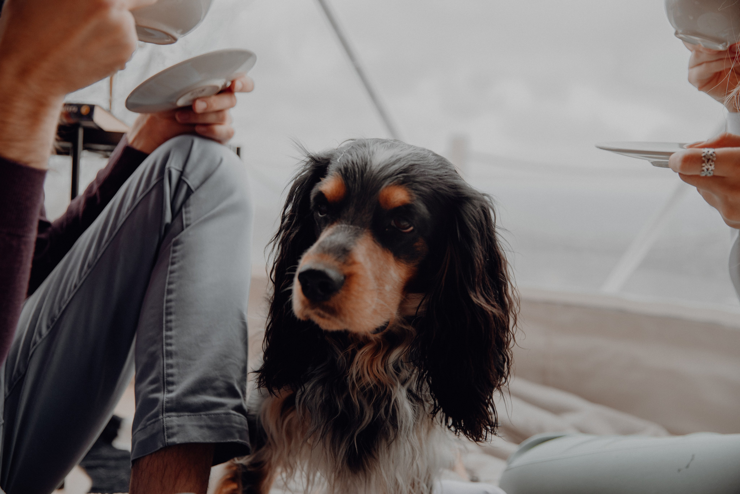 Ася ღ Заур. Портфолио