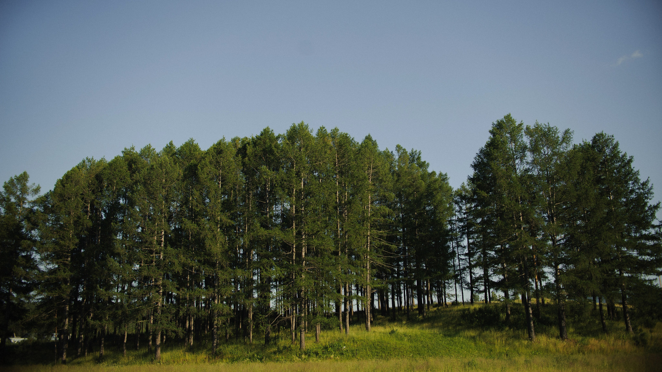 Зульфия+Даша. Фотограф в Екатеринбурге Артём Зайнетдинов