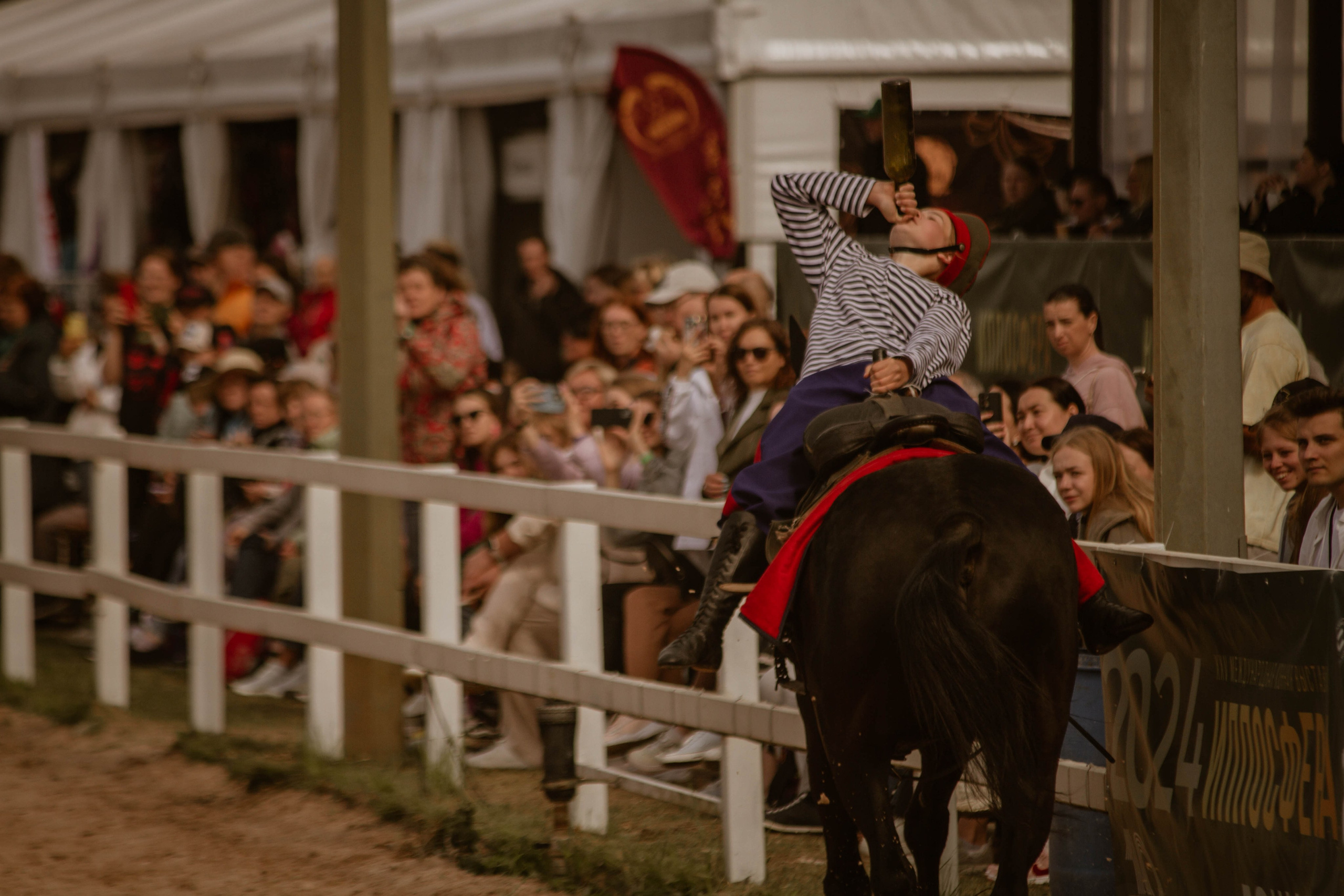 ИППОСФЕРА — Международная конная выставка. Создадим шедевр? Виталина и её фотоискусство