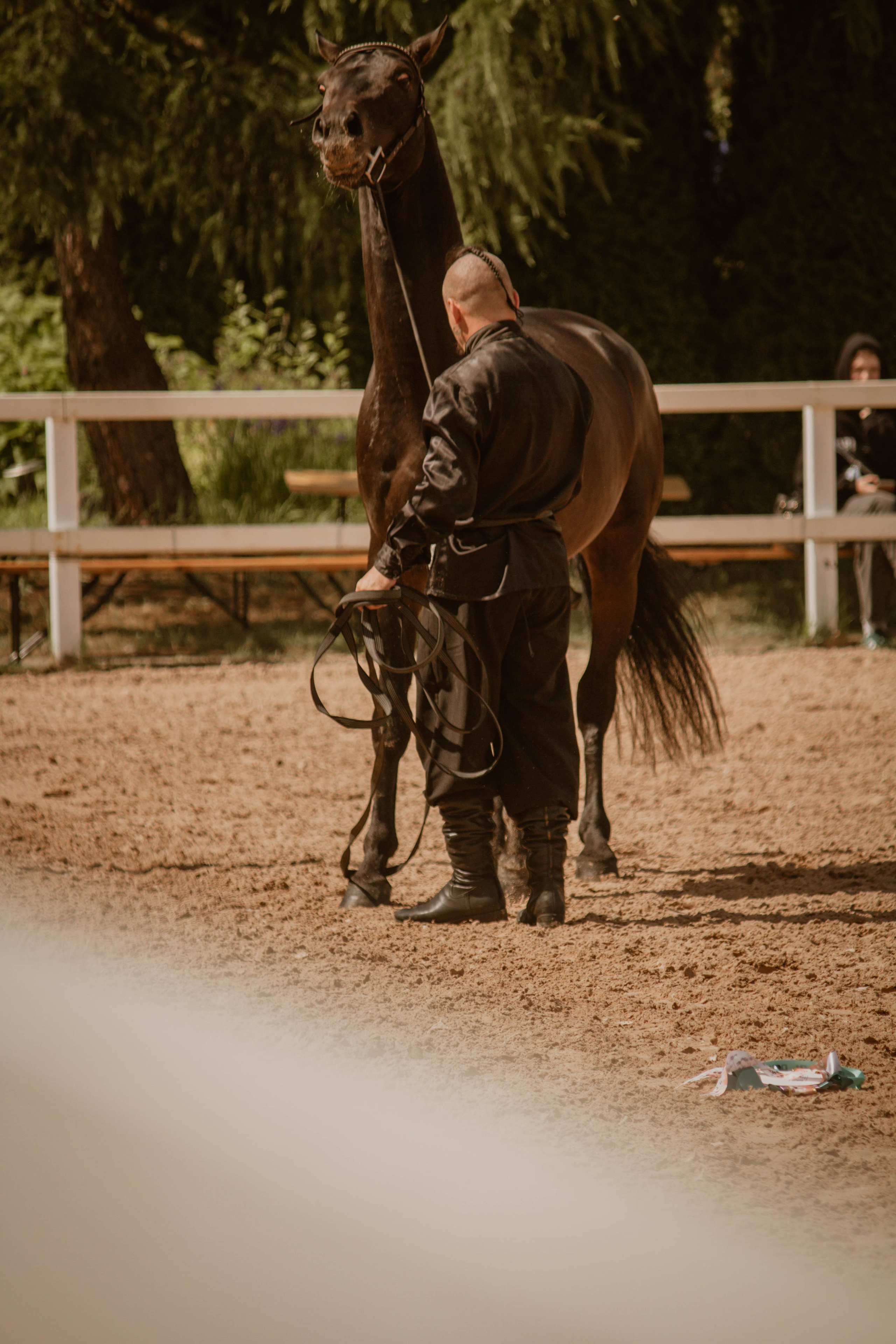 ИППОСФЕРА — Международная конная выставка. Создадим шедевр? Виталина и её фотоискусство