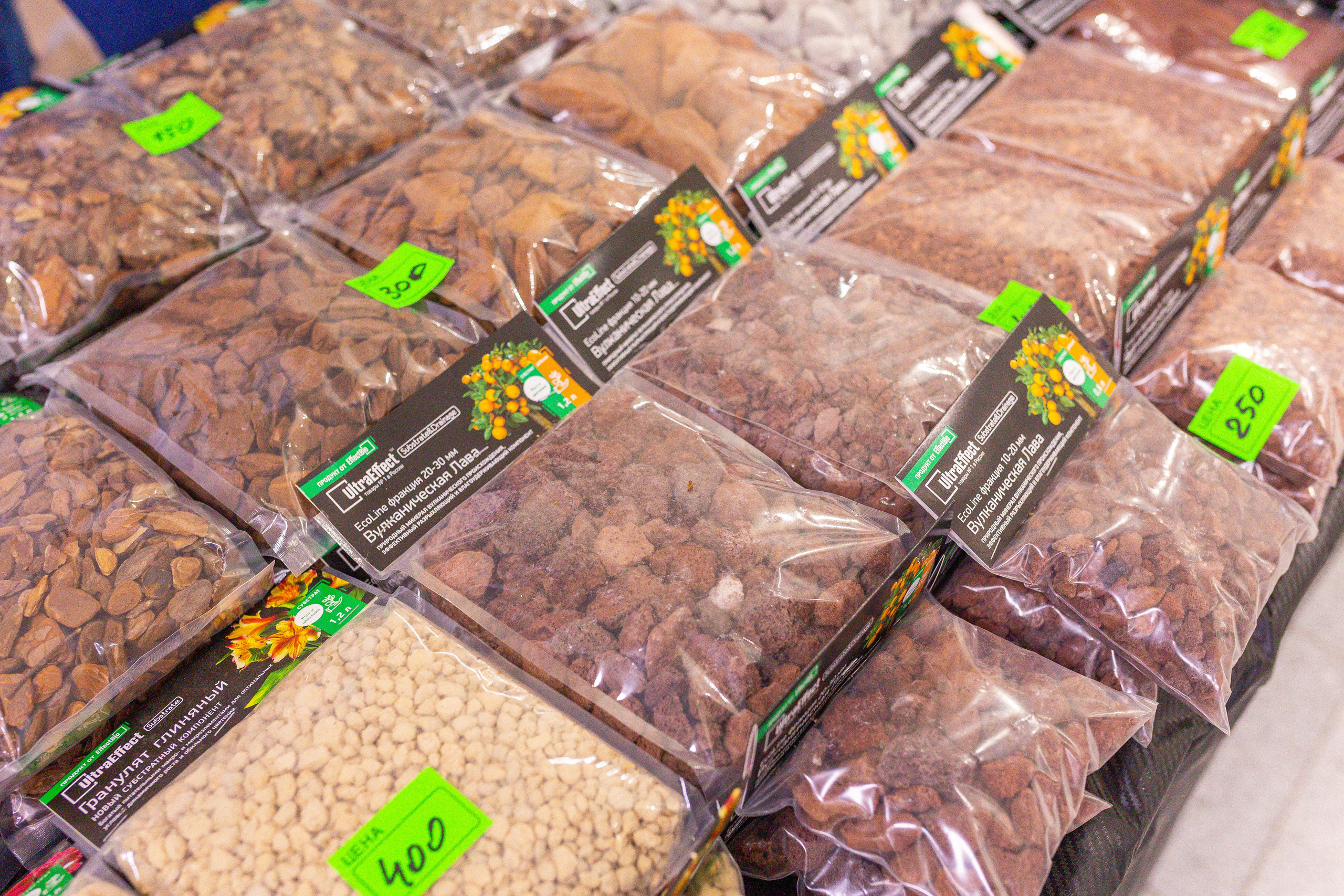 Орхидиум сентябрь 2025. Александра Куликова фотограф, Москва