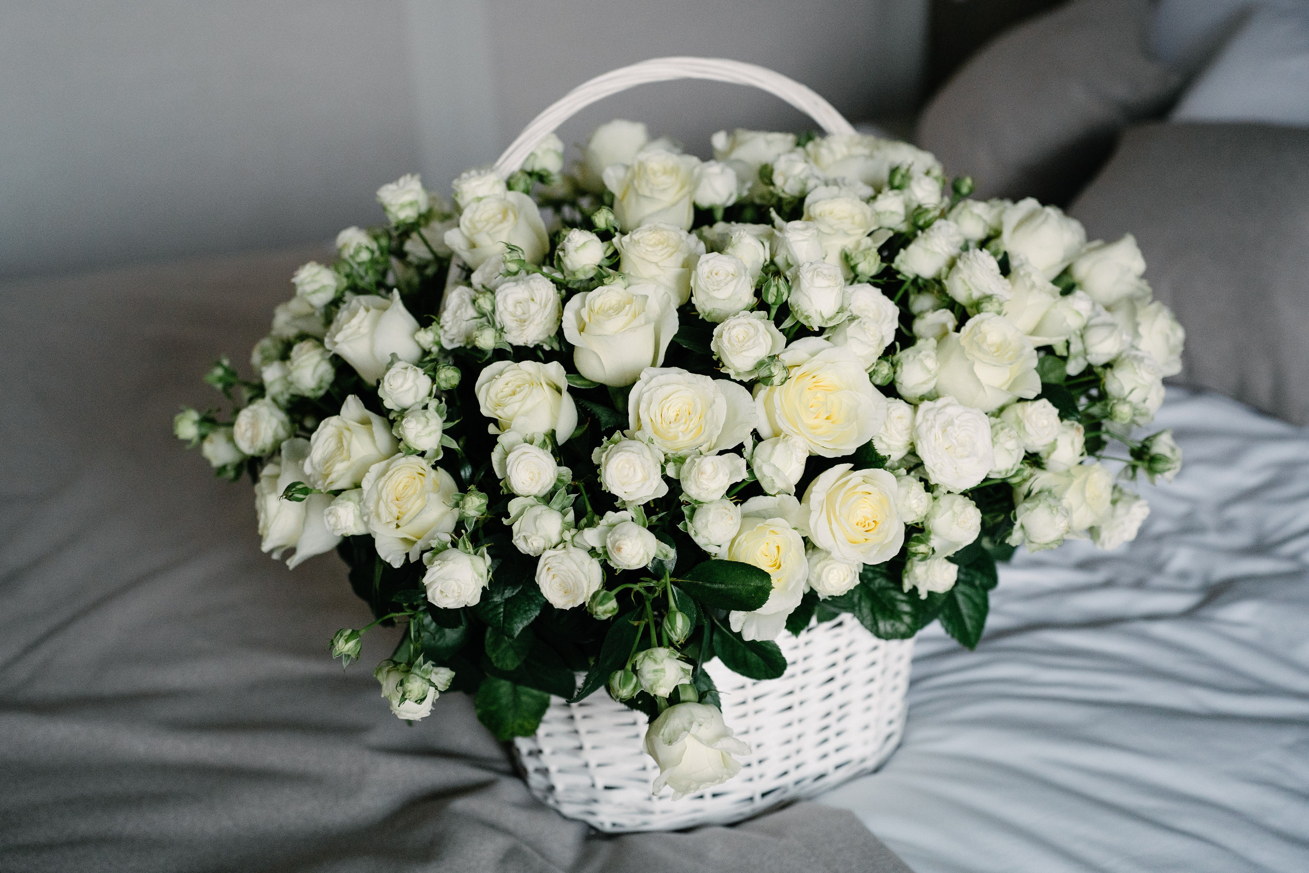 День Рождения Ольги. Свадебный и семейный фотограф в Воронеже Анастасия Бойко