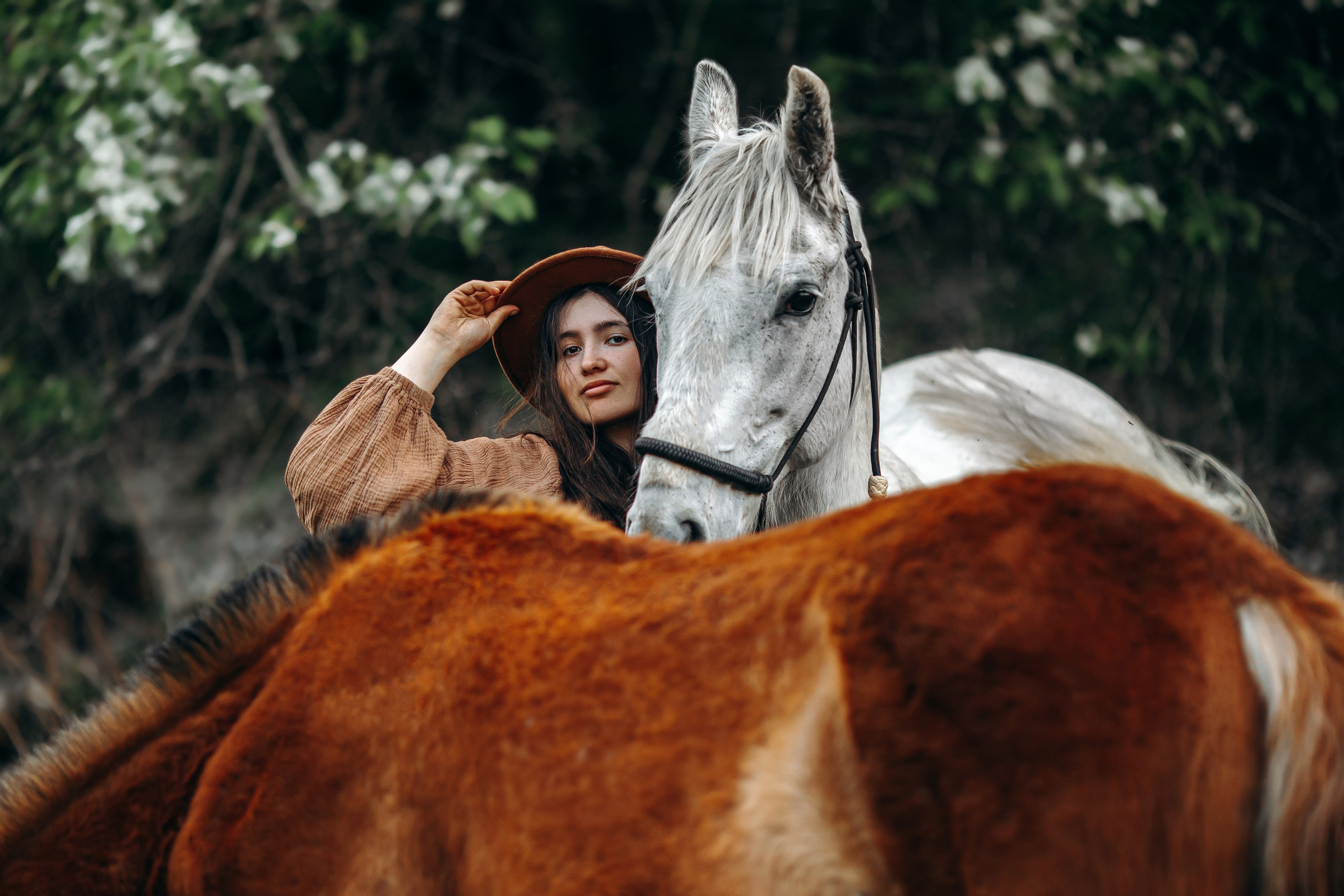 Рыже-белое. Анна Молчанова конный фотограф в Тюмени | фотосессии с лошадьми Тюмень