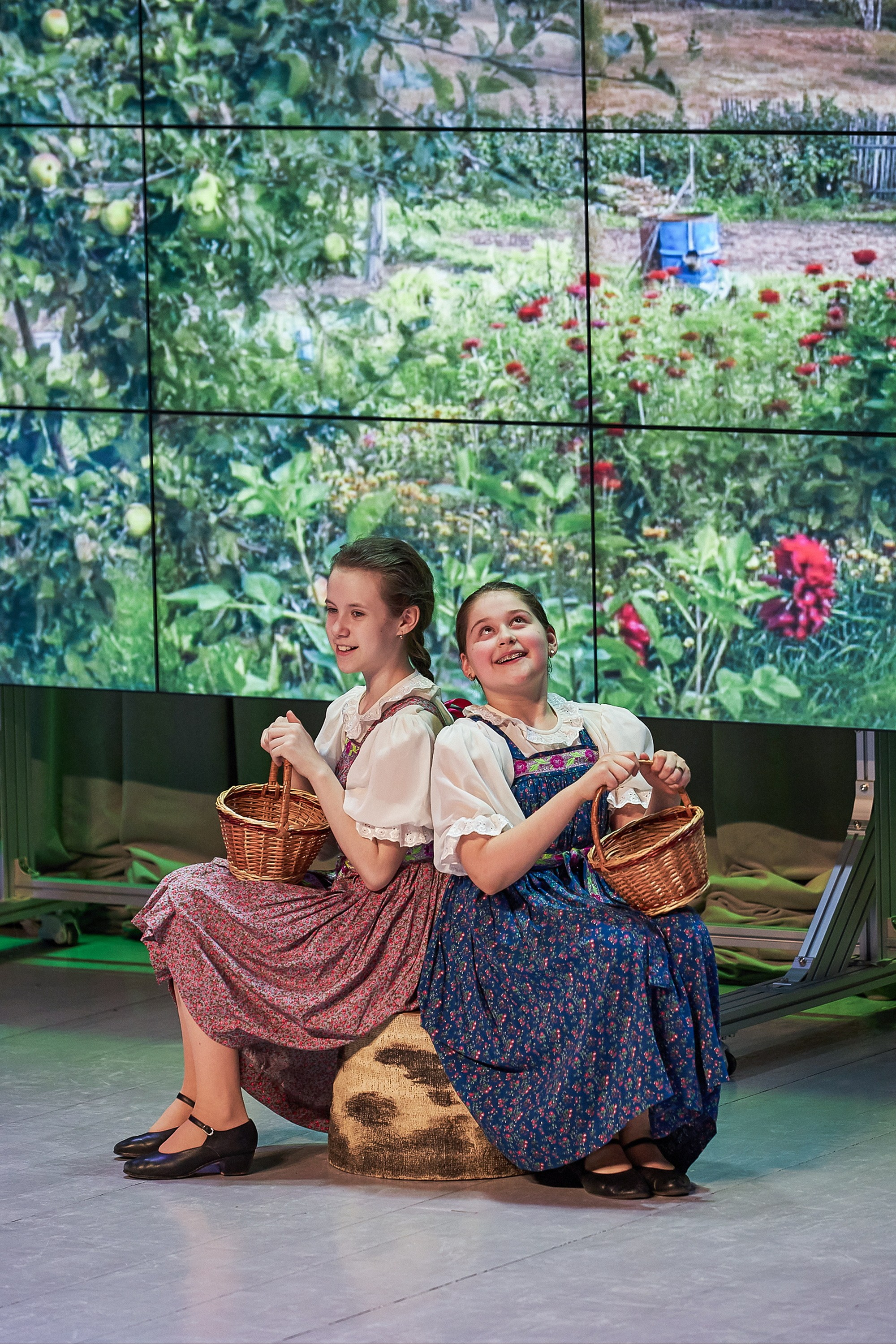 Выступления