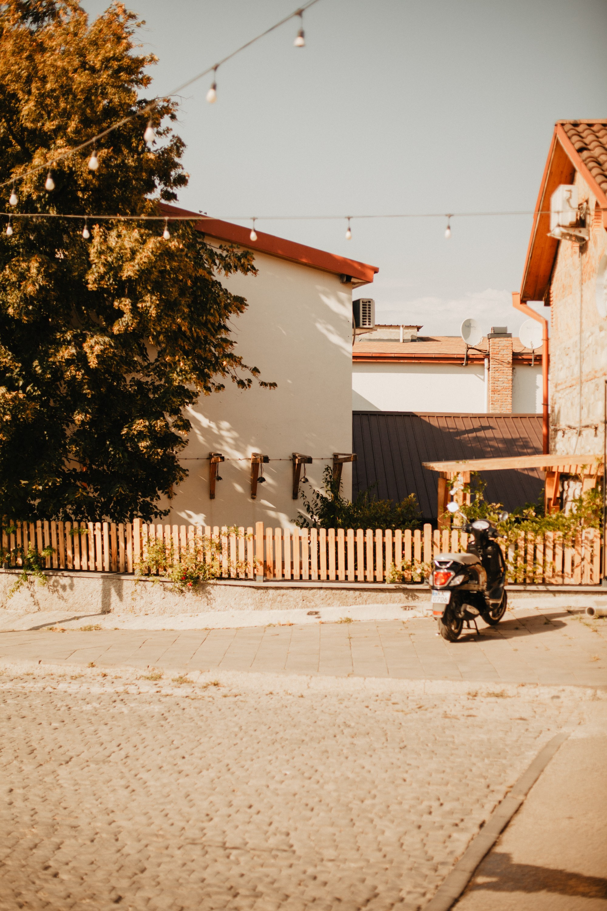 Грузинские каникулы. Violetta Skripka