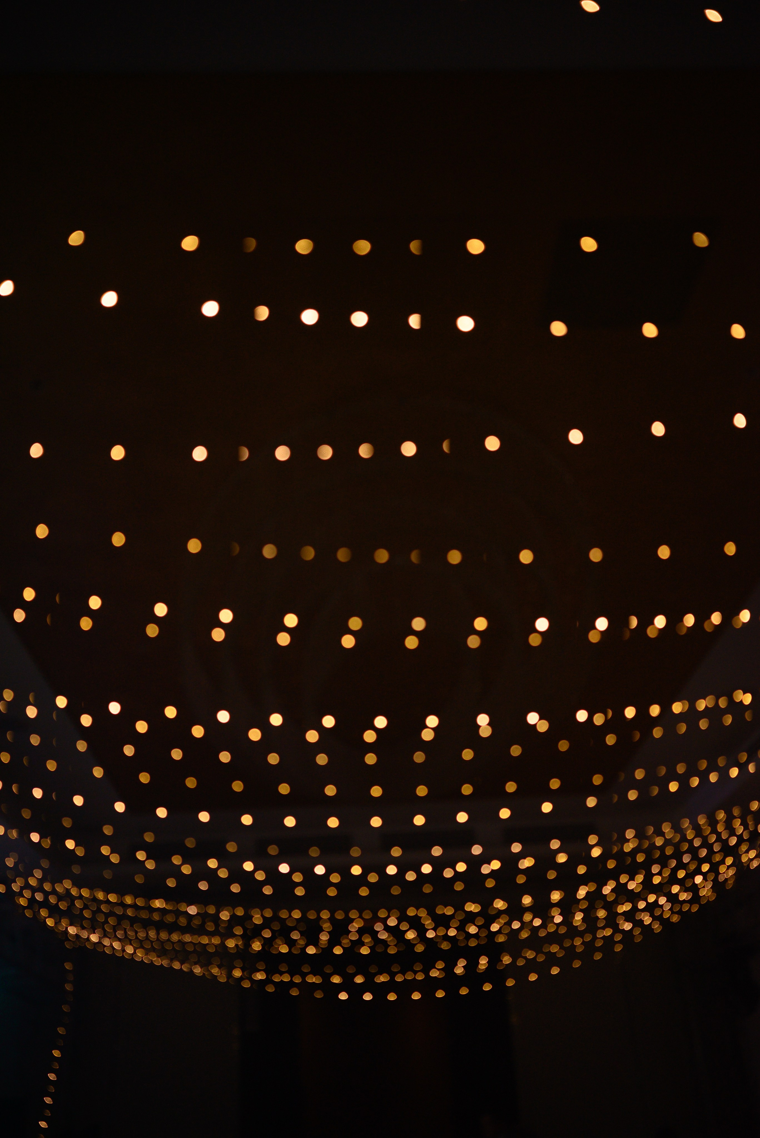 Паша и Алина. Свадебный фотограф Евгения Наумовец