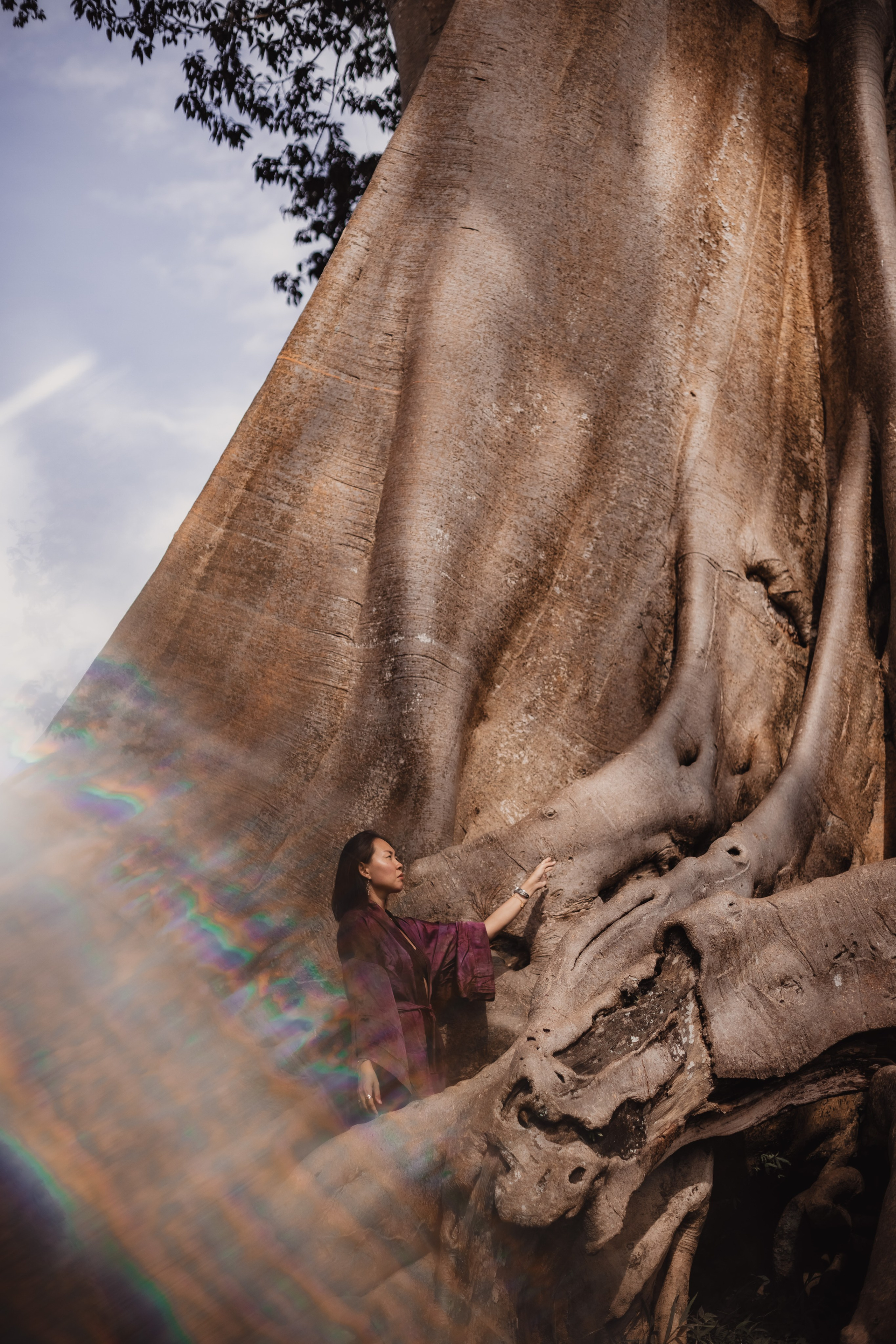 Banyan date. Mariam Bagdasaryan