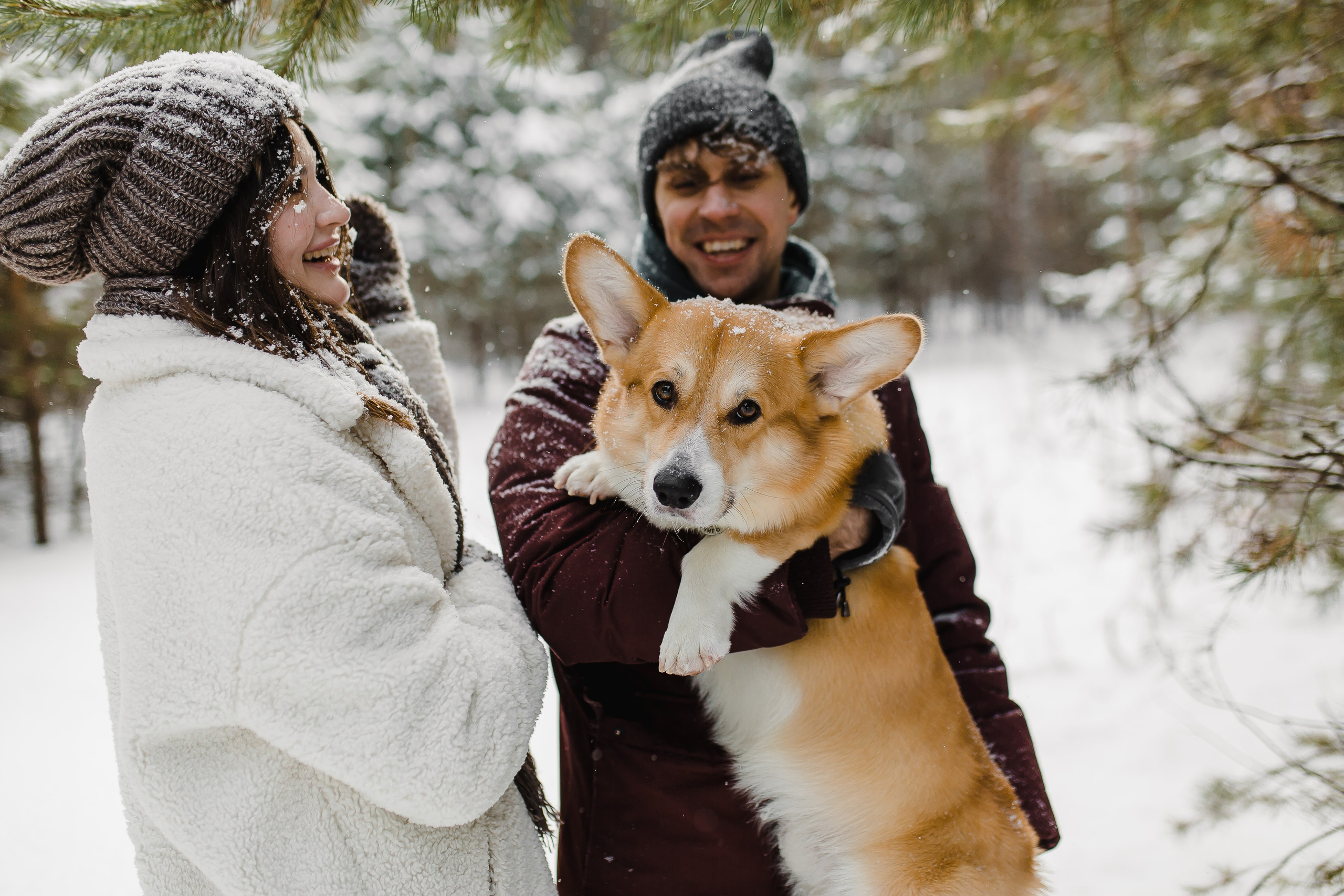 Дима и Даша. Свадебный и семейный фотограф в Томске Алексей