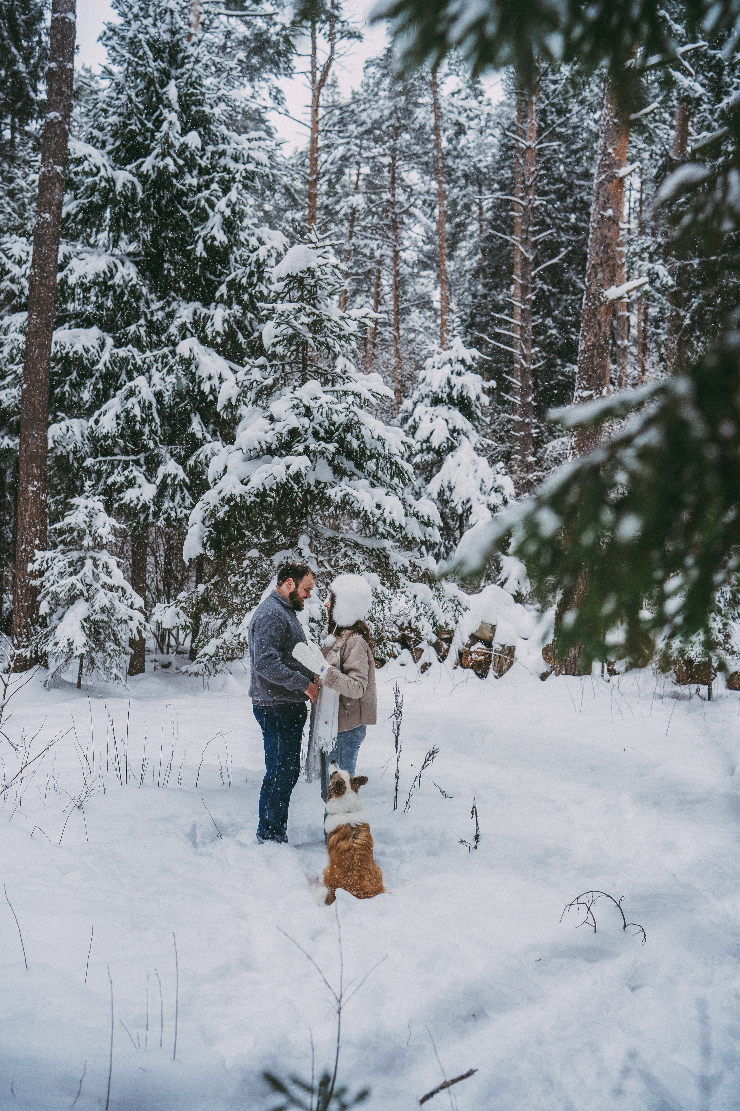 Катя, Анатолий и Елай. Фотограф анималист в Москве и Санкт-Петербурге Свиридова Анна