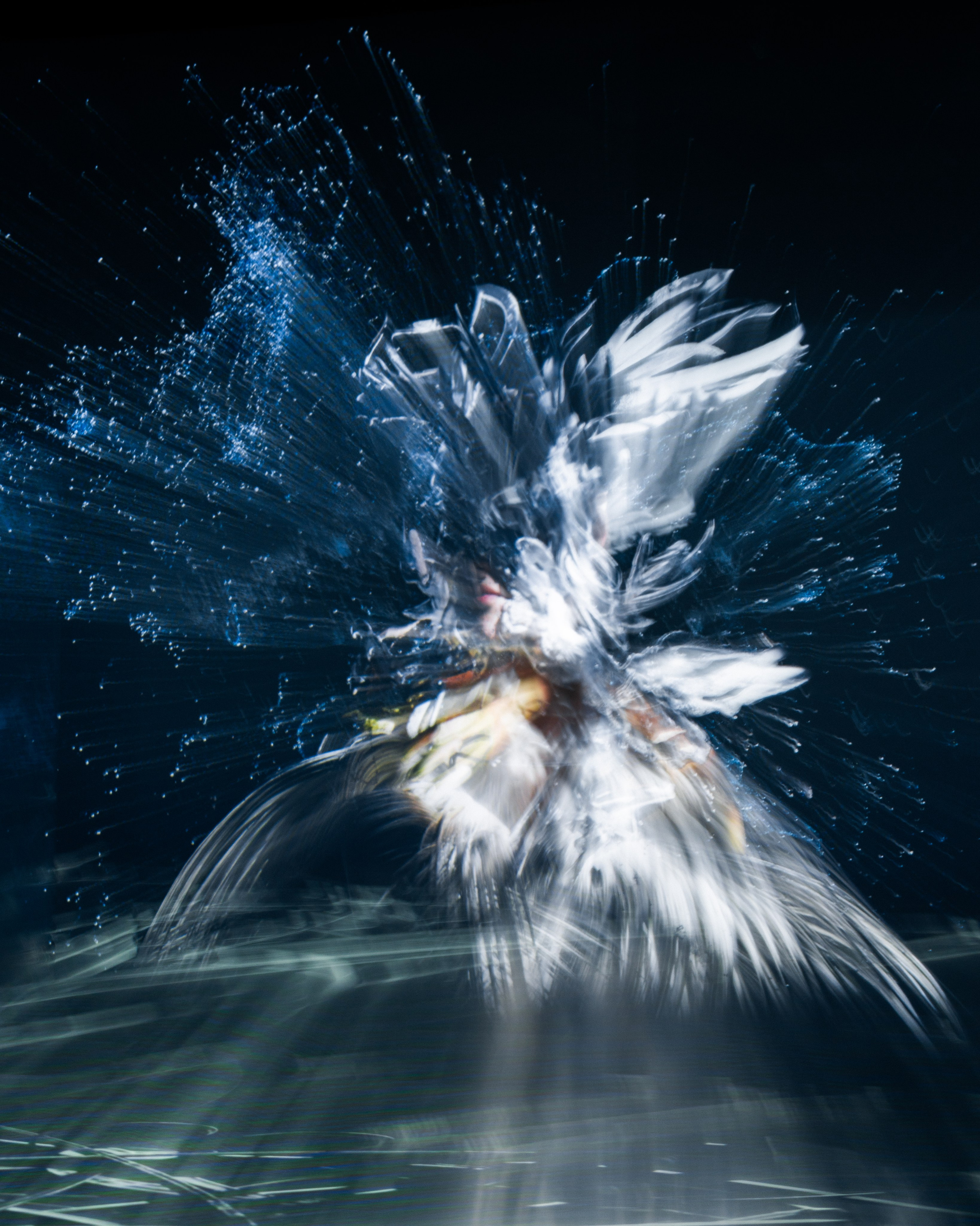 Generative Gallery & Luminar X, Making Magic. @tomrus: Рустам Шагиморданов — фотограф