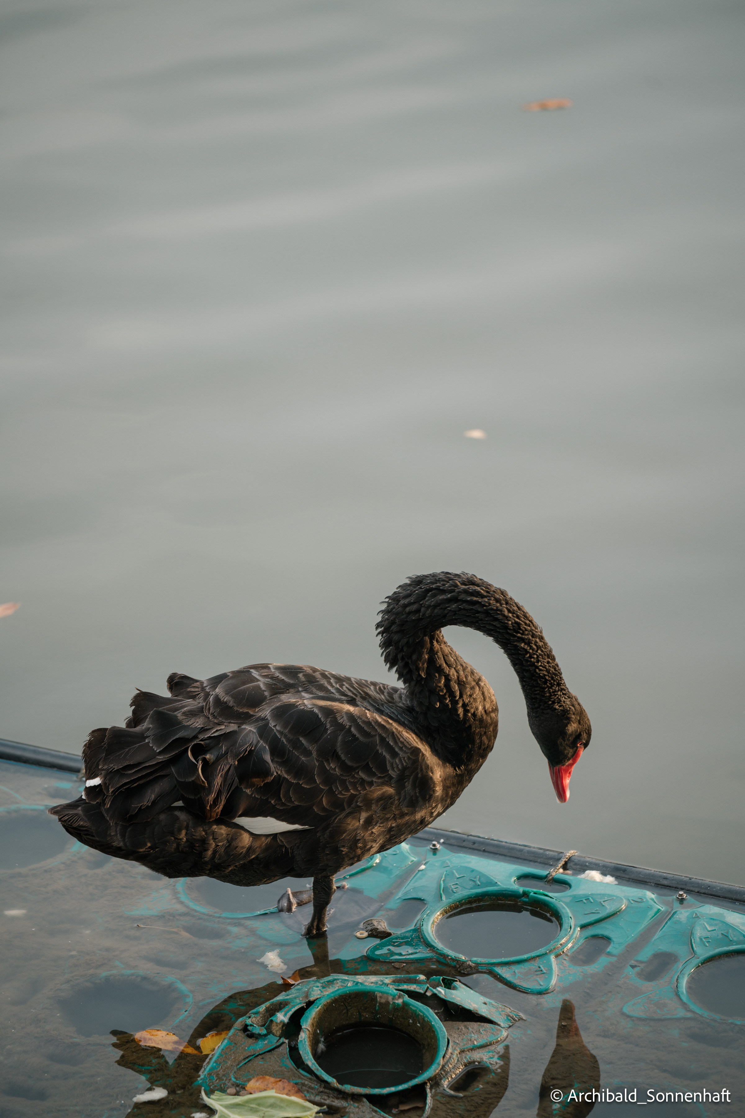 Walk around ShuiShan park. Photographer in Guangzhou, China. Archibald Sonnenhaft