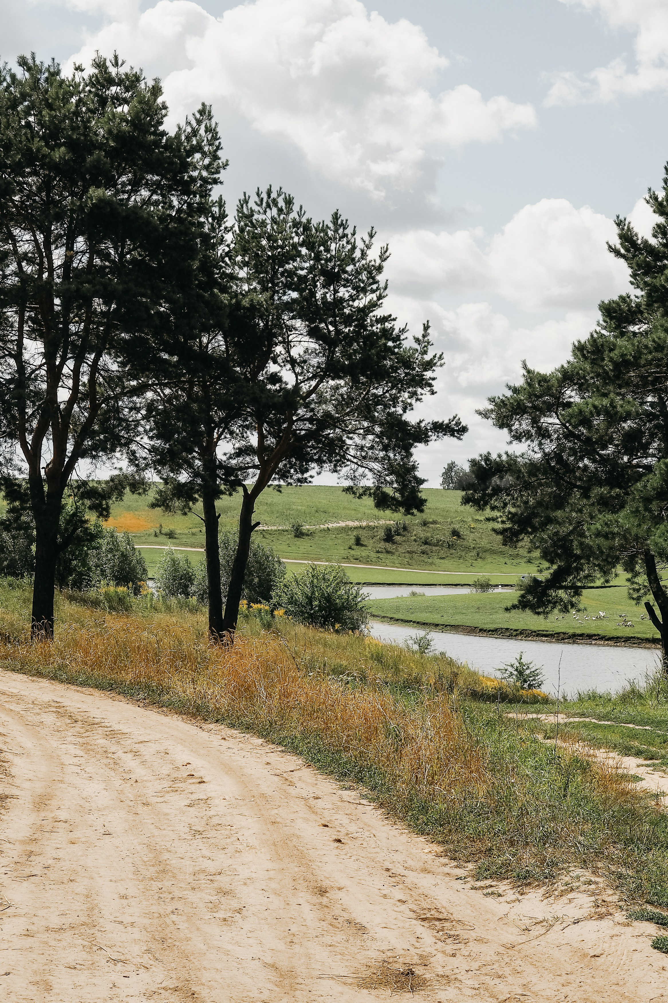 Толмачевский пруд