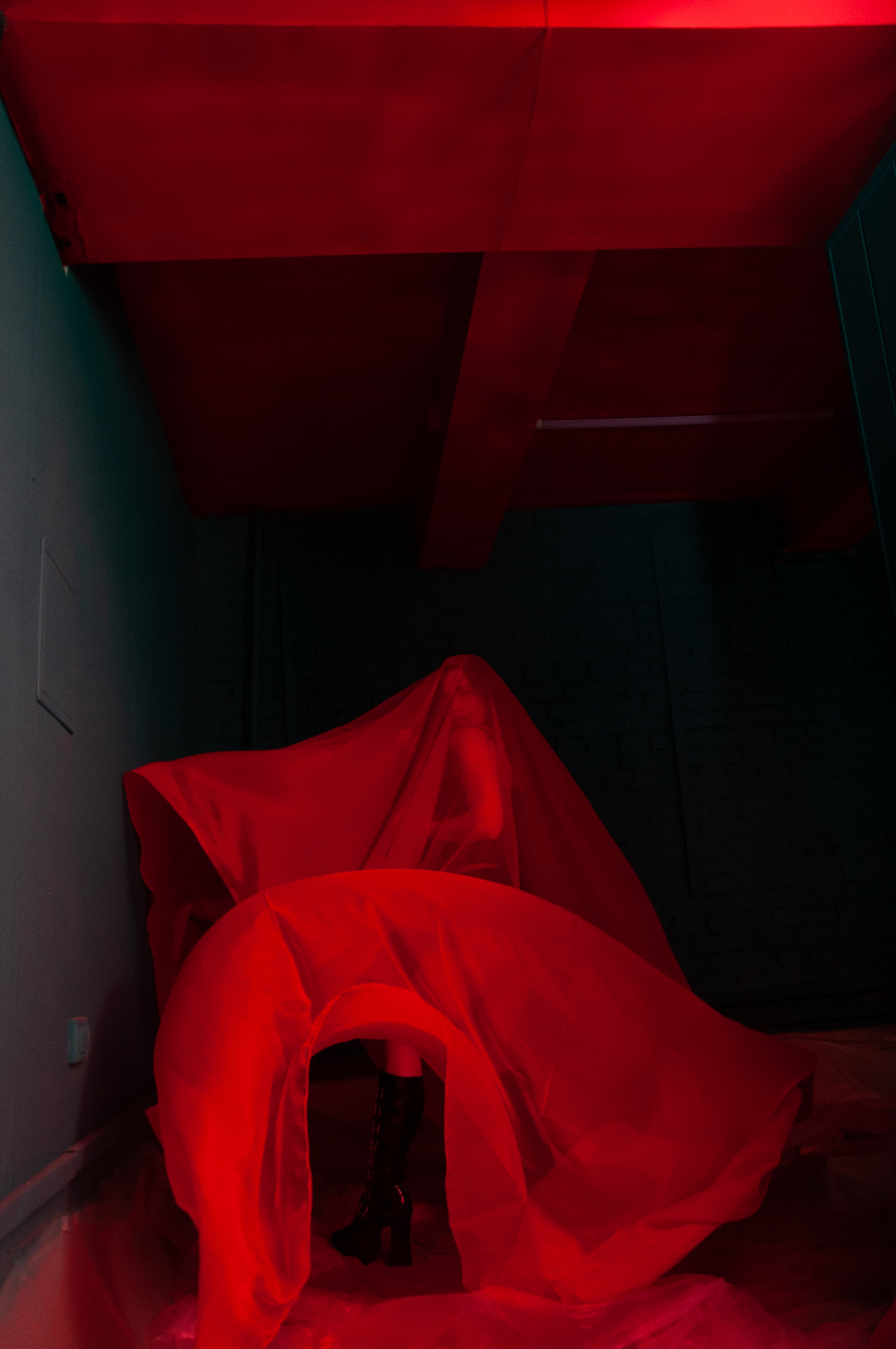 Светлана. Коммерческие и индивидуальные съёмки