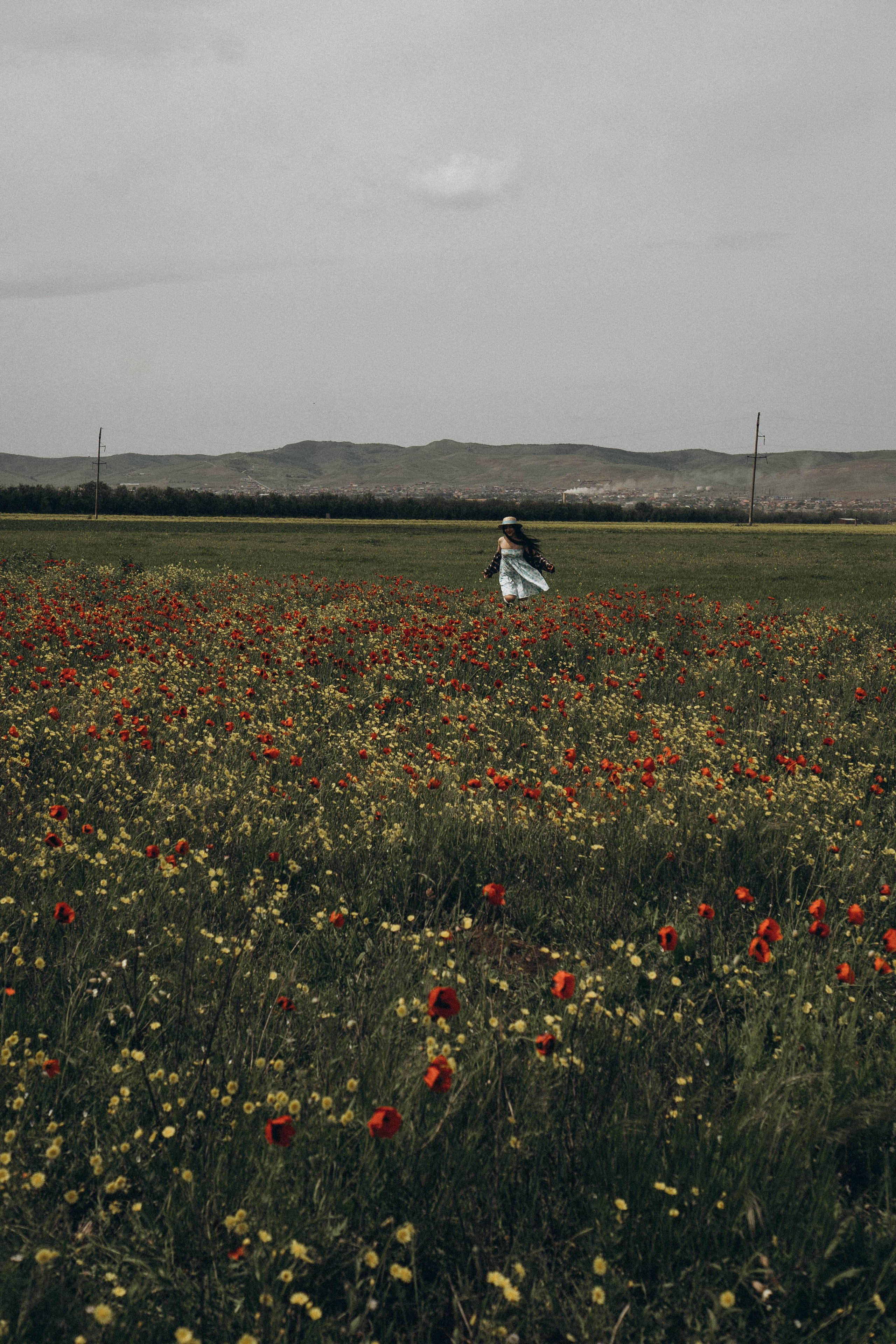 Цветочная поляна. Профессиональный фотограф, Санкт-Петербург — Виктория Богомолова