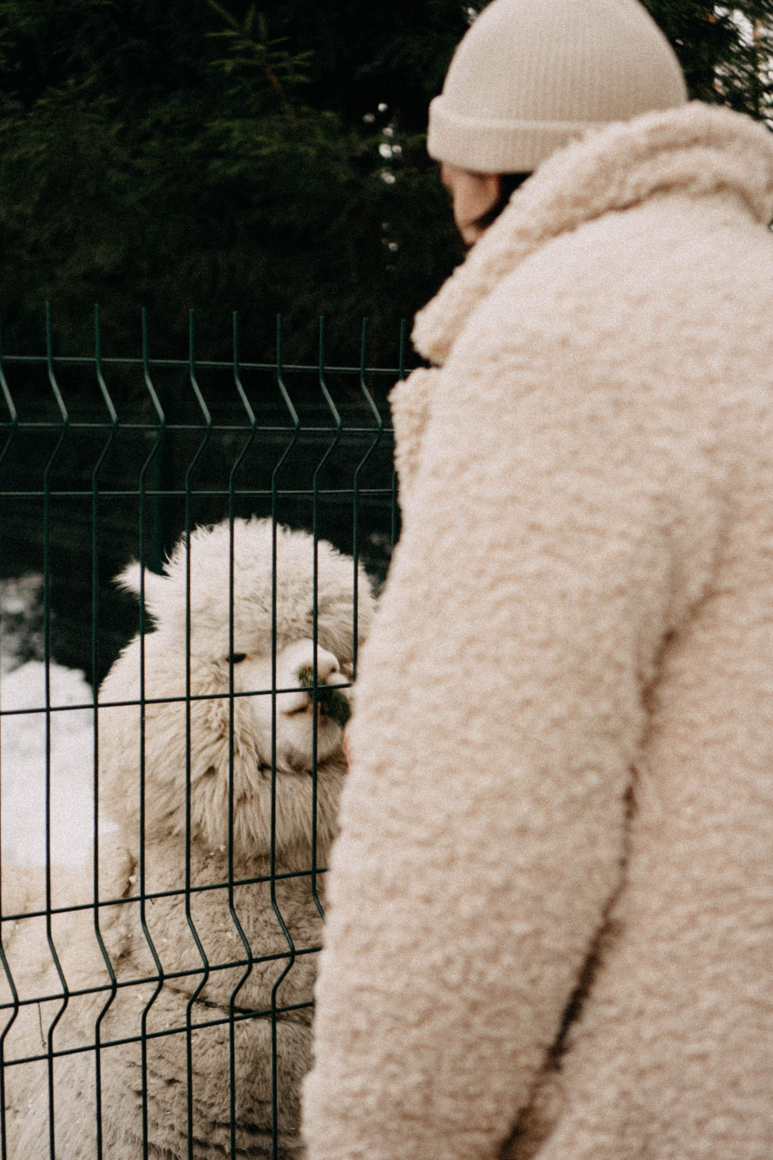 Каток. Профессиональный фотограф, Санкт-Петербург — Виктория Богомолова