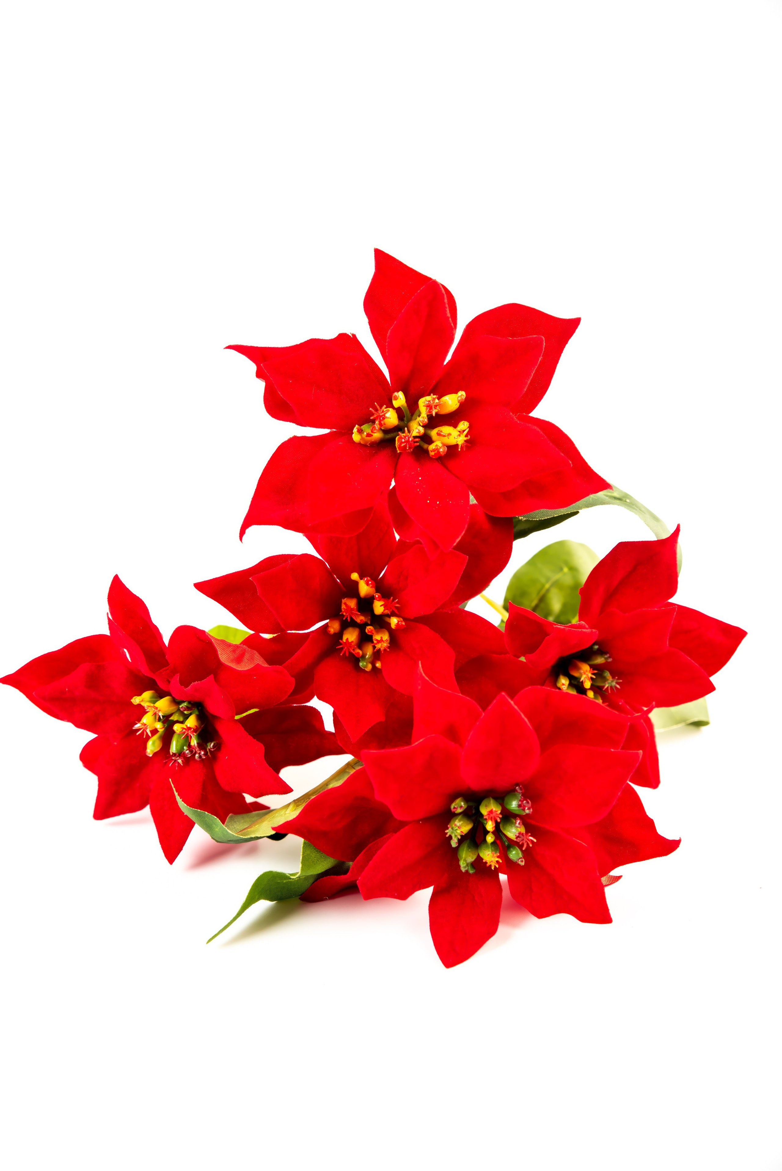 Предметная съёмка для маркетплейсов и каталогов