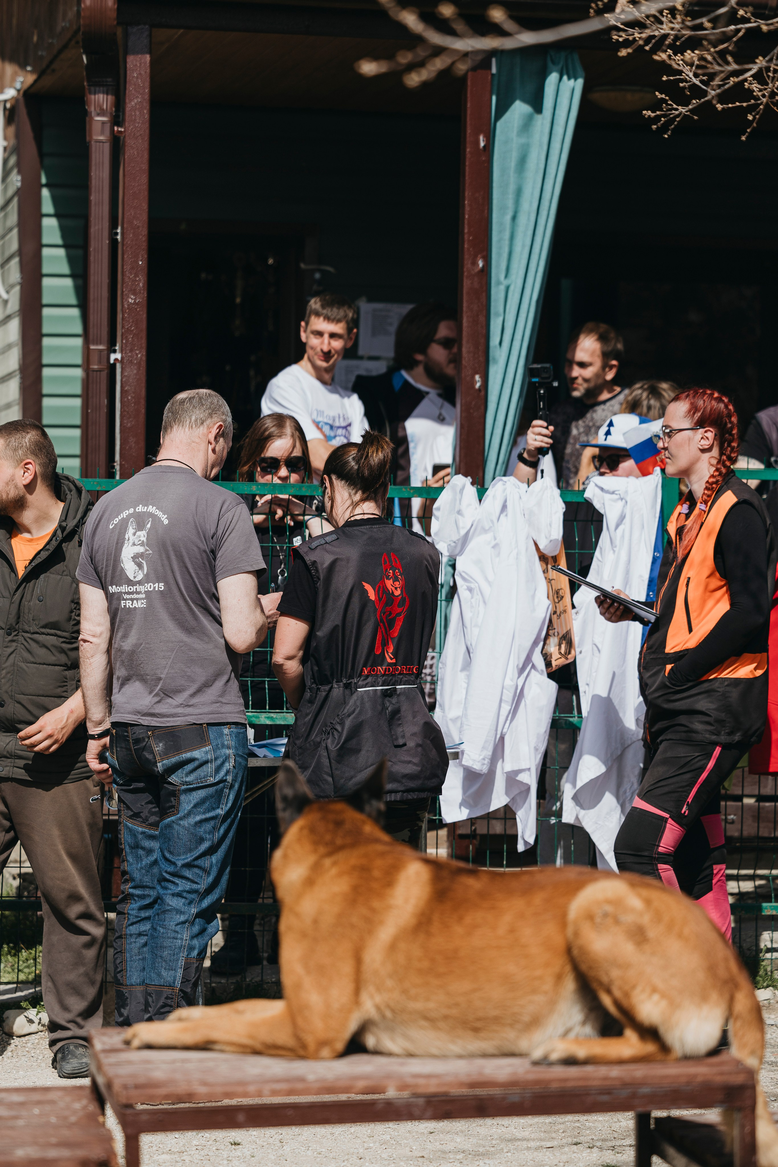 Геленджик Мондьоринг. Фотограф-анималист Анна Маринич