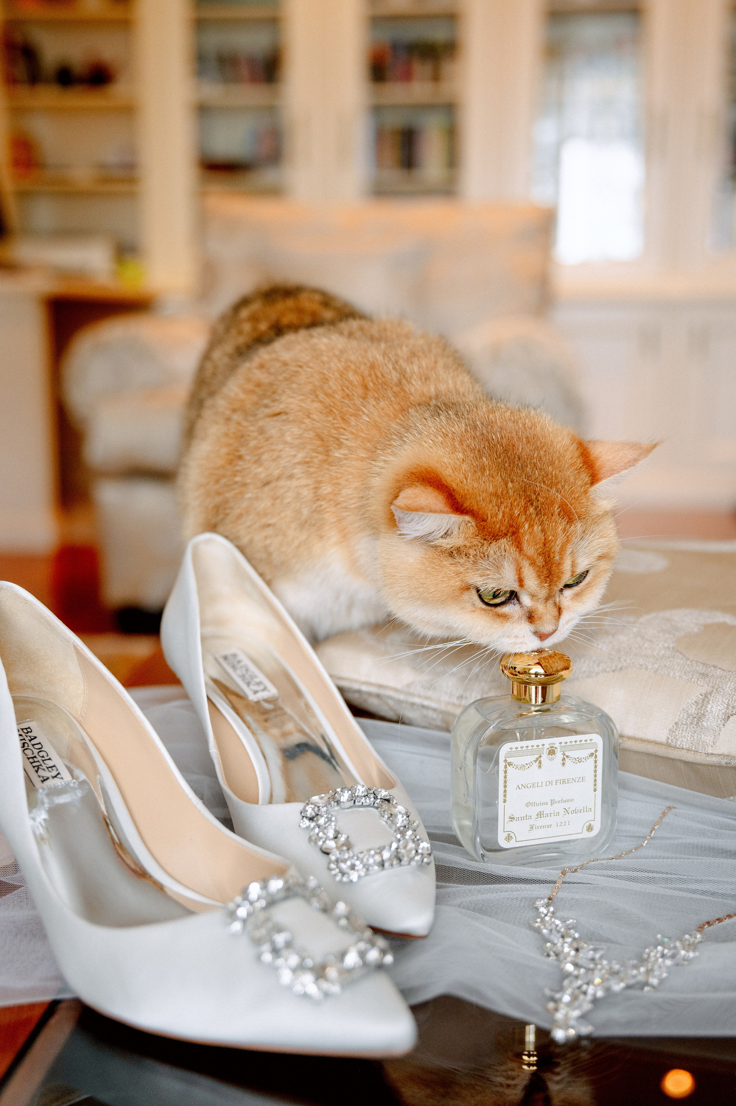 ЯНА и ЖЕНЯ. Шашкова Вероника / Свадебный и семейный фотограф Москва и Ярославль