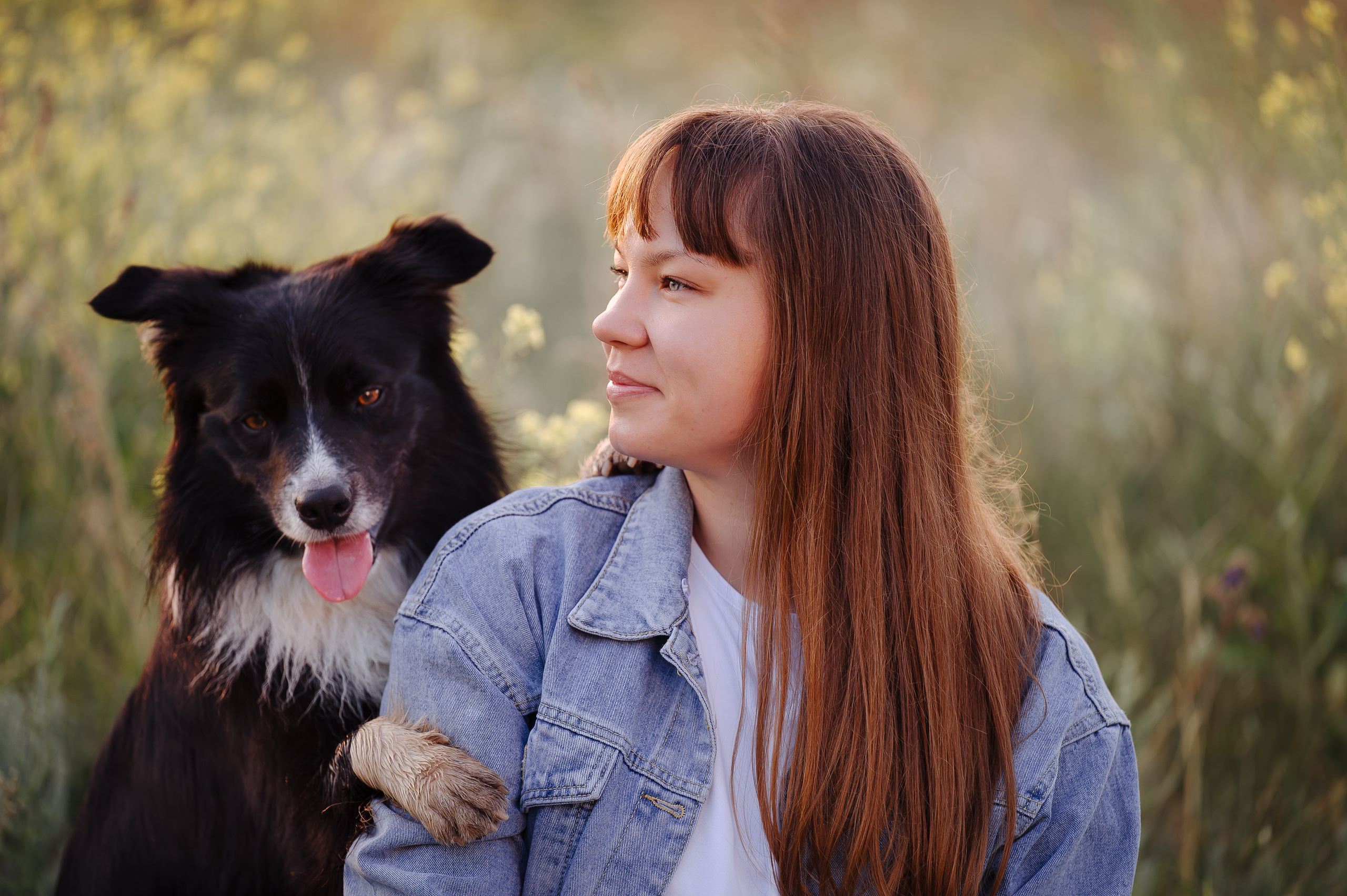 Прогулка на рассвете с бордер-колли. Фотограф в Ростове —на — Дону