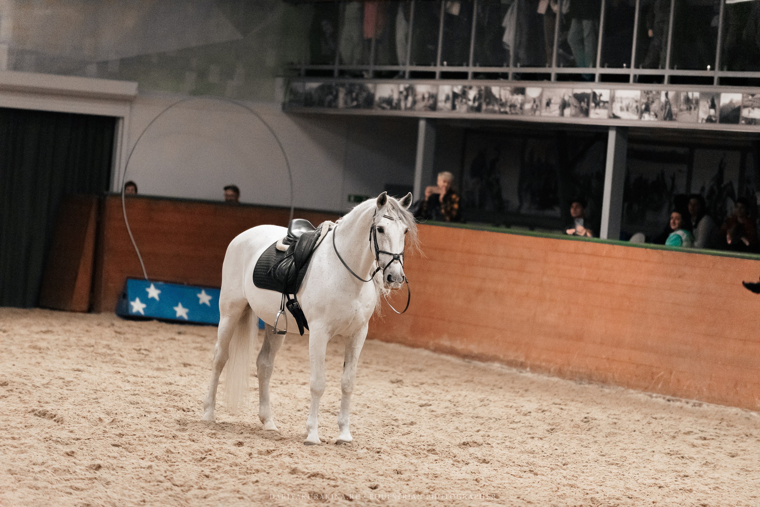 Конное представление «Дыхание Звёзд». Конный фотограф Куракина Дарья • Фотосессии с лошадьми
