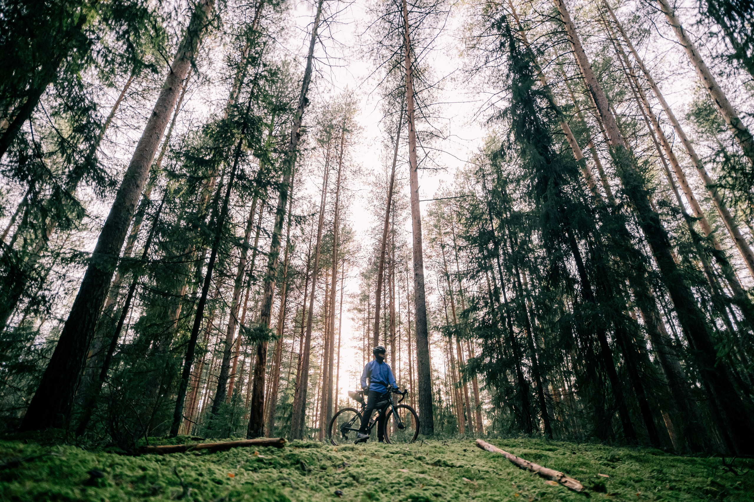 Индивидуальная съемка | Александр Шихалев. Фотограф Валерия Кононова