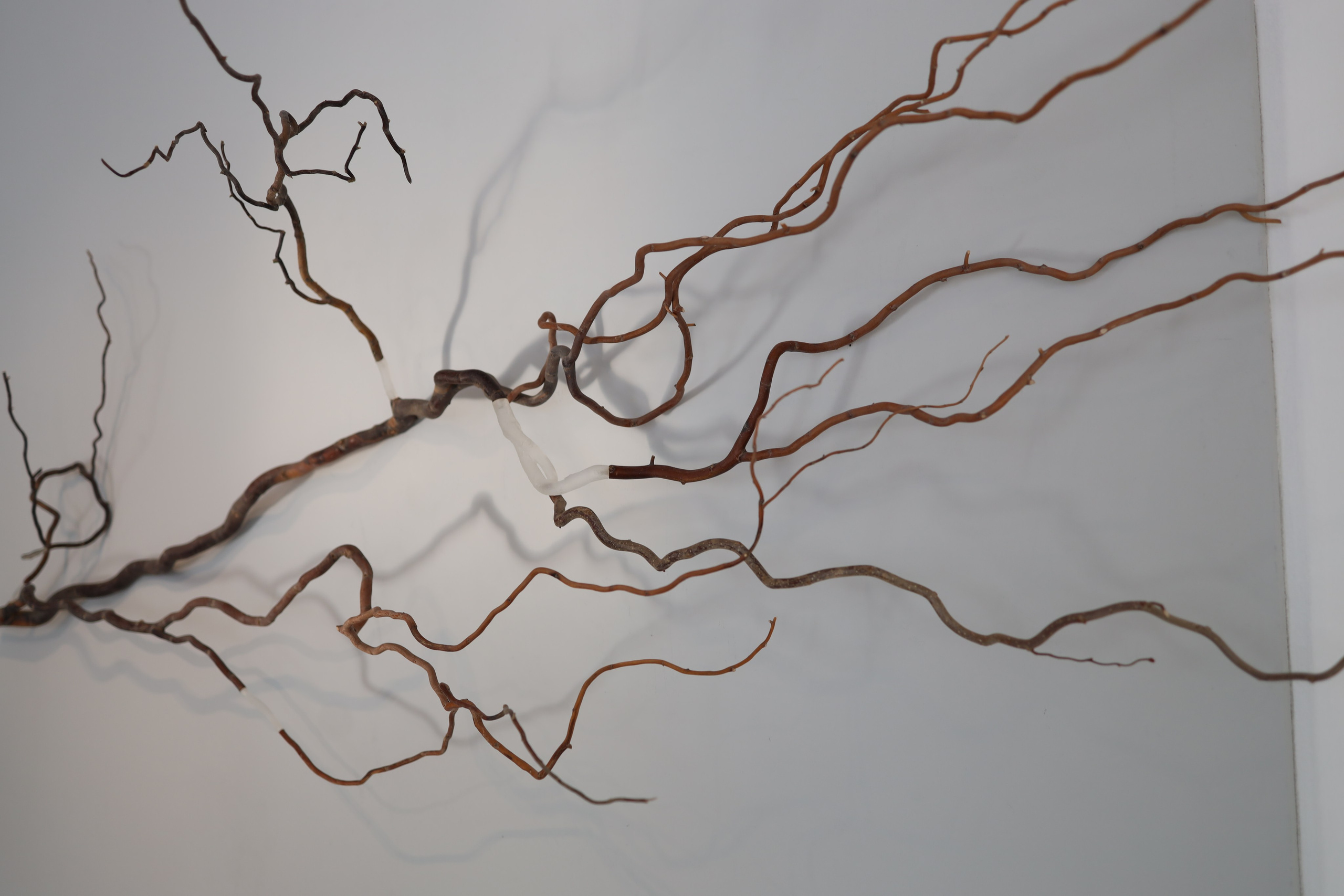 Выставка Степени прозрачности. Фотосессии и репортаж — Фотограф в Москве — Рина Серёгина