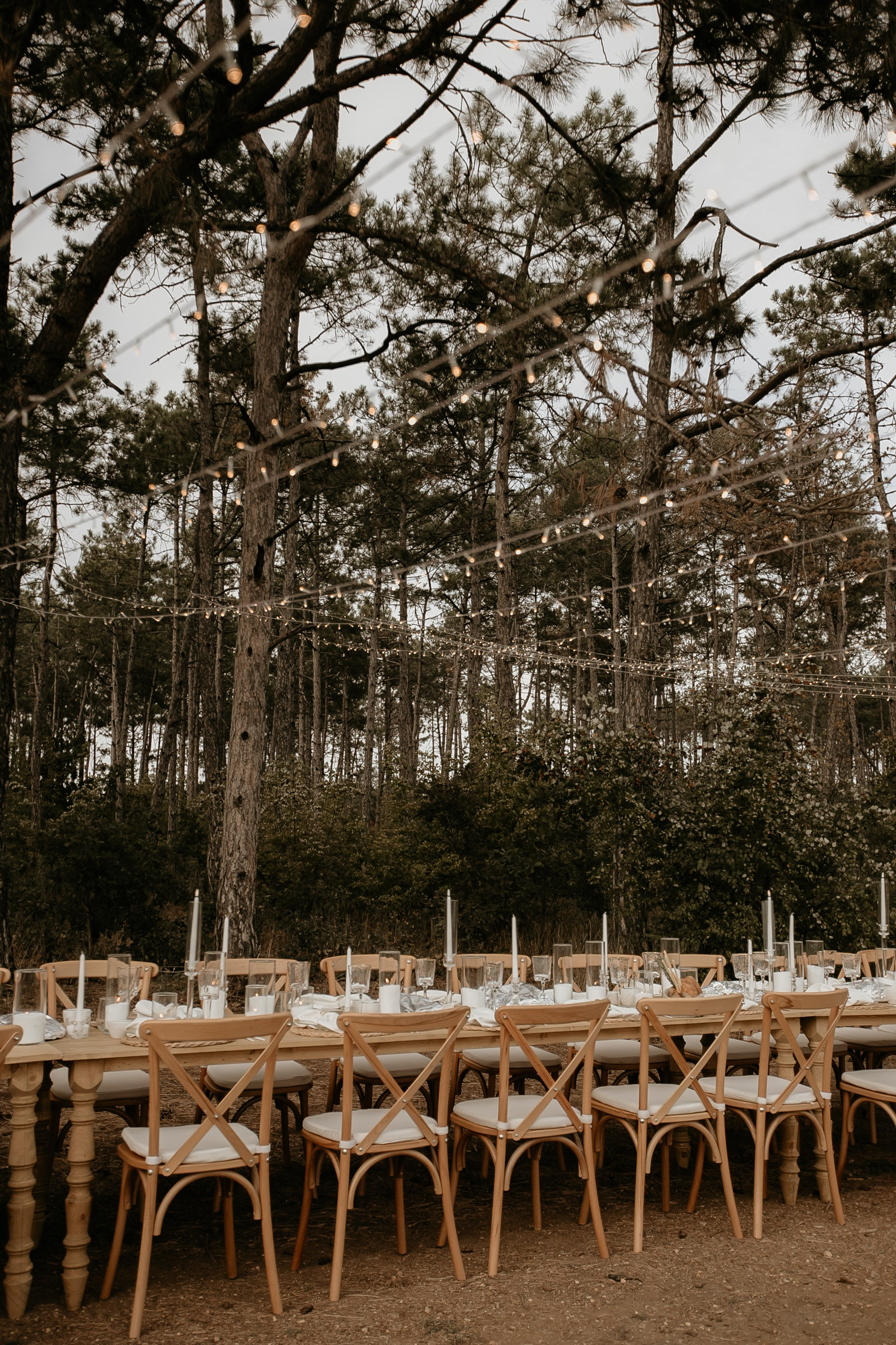 Wedding on winery. Свадебный фотограф в Севастополе и Крыму| Tanya Sher