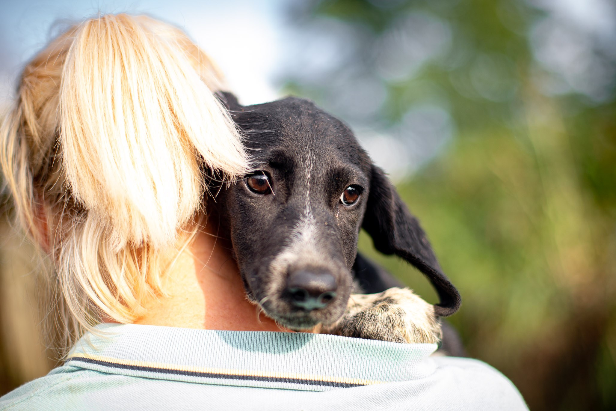 Приют Бим. Ирина Голомб|Фотограф-анималист в  Сочи и Калининграде
