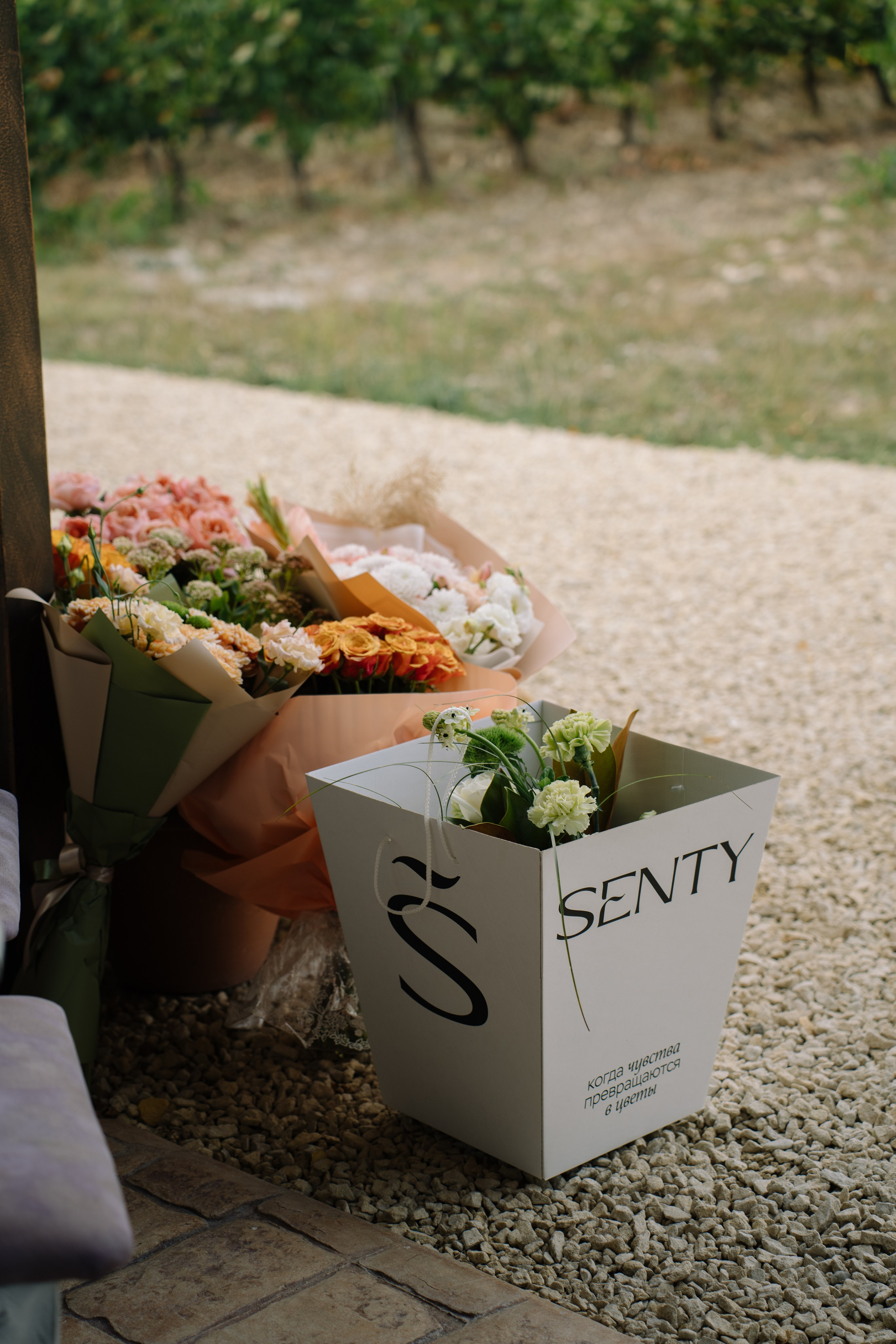 Любовь без границ