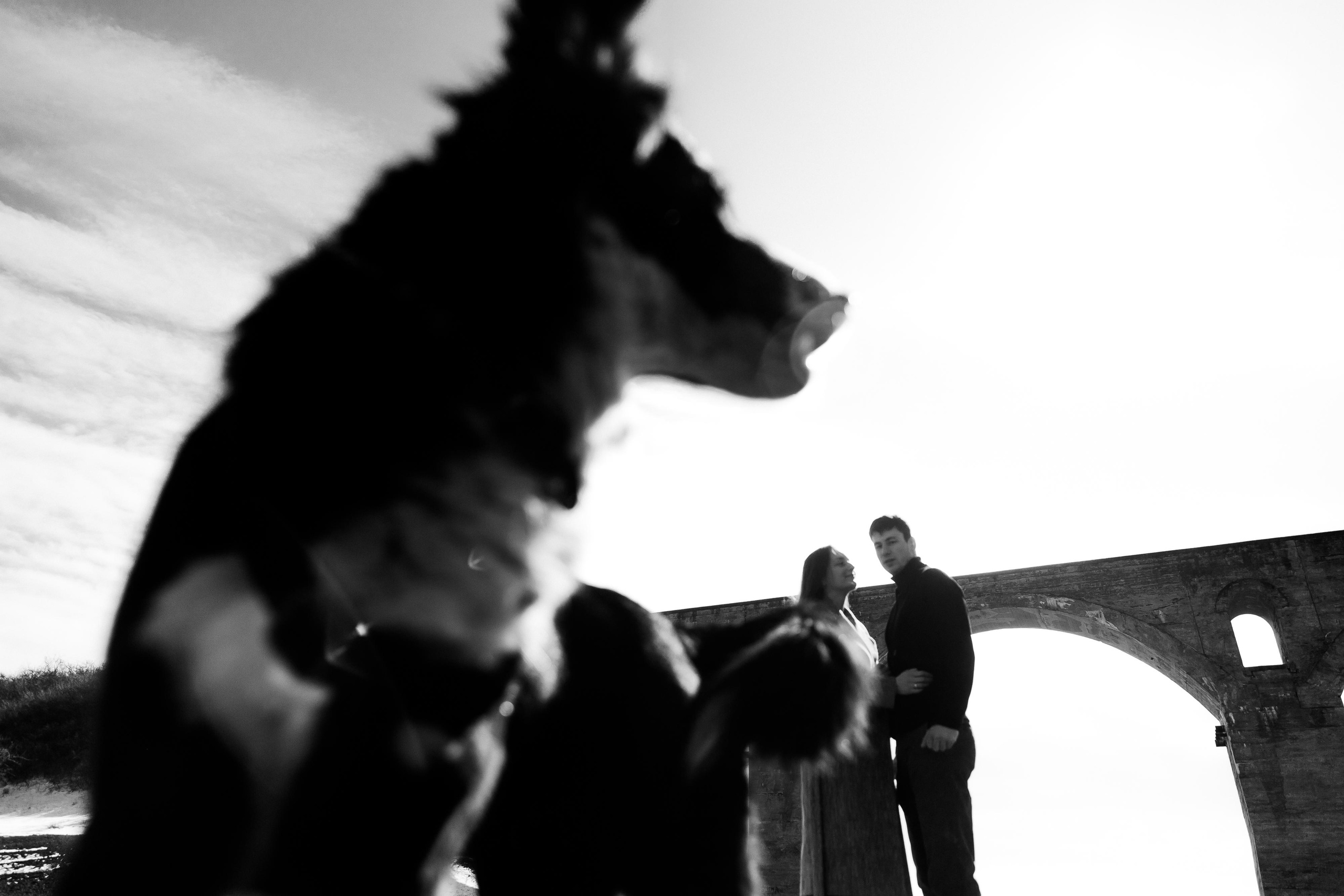 Мостик. Свадебный и семейный фотограф Харольцева Наталья