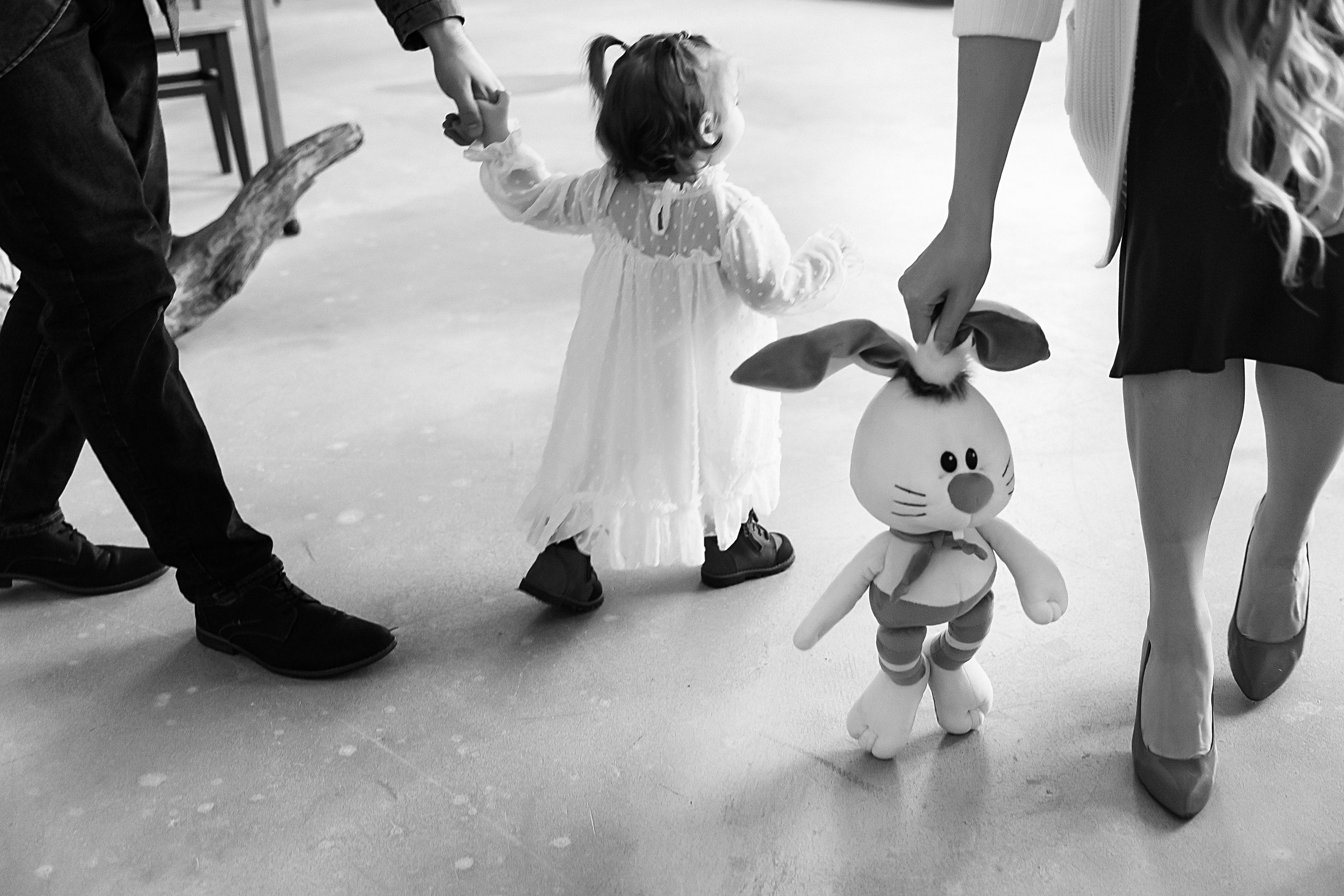 Заяц. Свадебный и семейный фотограф Харольцева Наталья